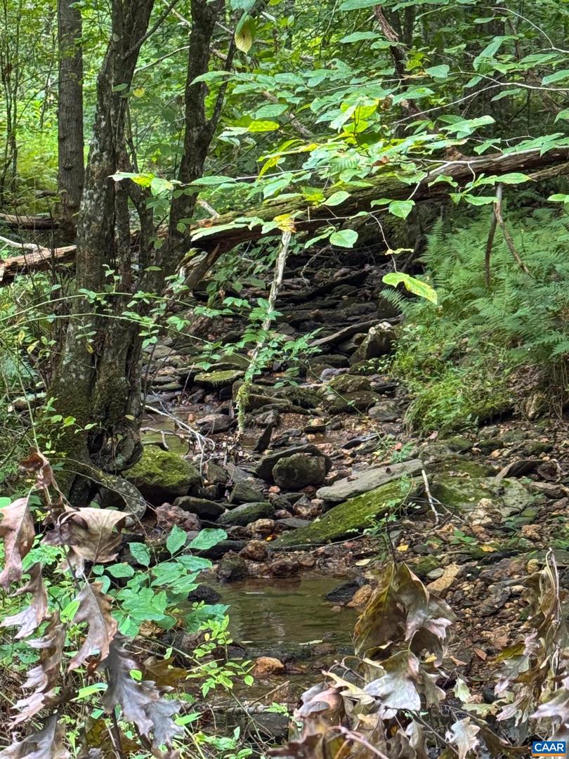 TBA OLD GREEN MOUNTAIN RD #00500, ESMONT, Virginia 22937, ,Farm,For Sale,TBA OLD GREEN MOUNTAIN RD #00500,668925 MLS # 668925 TBA OLD GREEN MOUNTAIN RD #00500, ESMONT, Virginia 22937, ,Farm,For Sale,TBA OLD GREEN MOUNTAIN RD #00500,668925 MLS # 668925