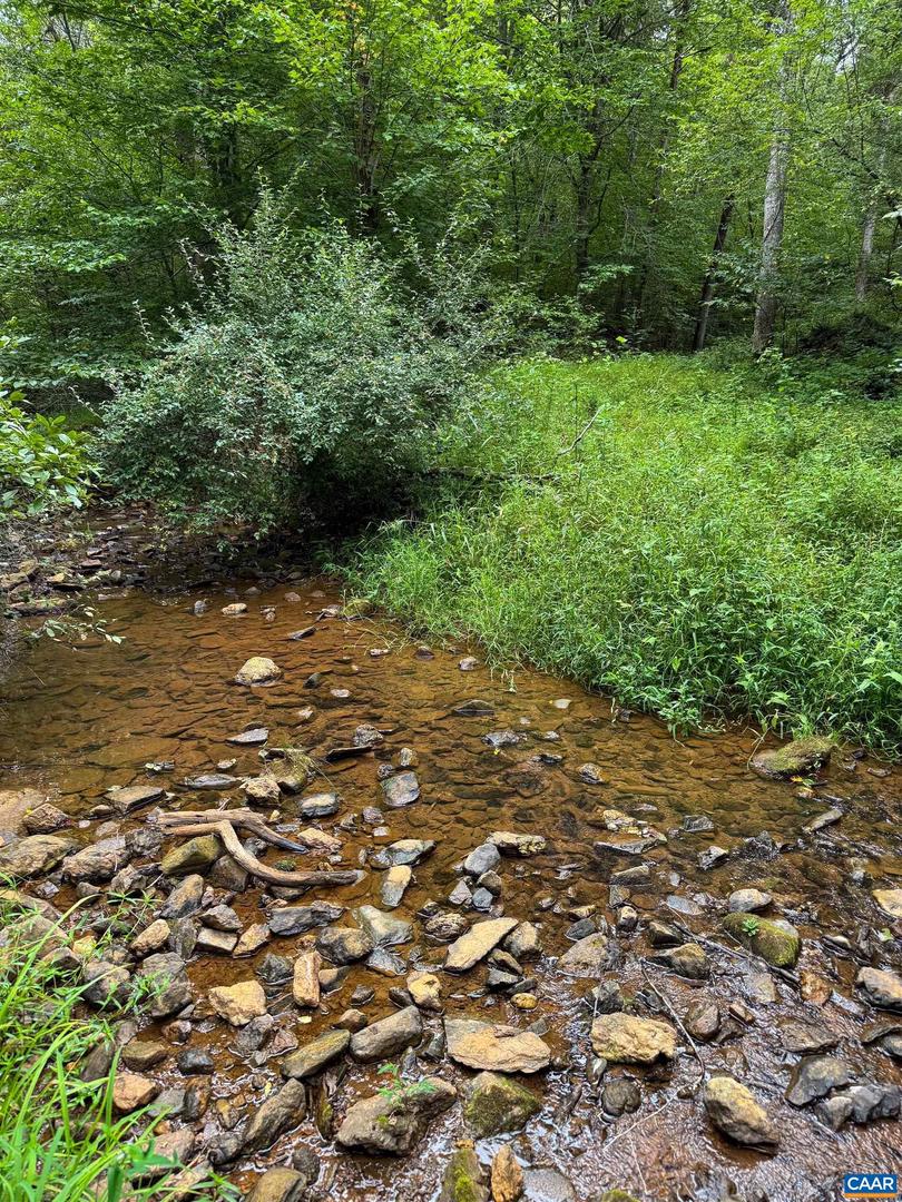TBA OLD GREEN MOUNTAIN RD #00500, ESMONT, Virginia 22937, ,Farm,For Sale,TBA OLD GREEN MOUNTAIN RD #00500,668925 MLS # 668925 TBA OLD GREEN MOUNTAIN RD #00500, ESMONT, Virginia 22937, ,Farm,For Sale,TBA OLD GREEN MOUNTAIN RD #00500,668925 MLS # 668925