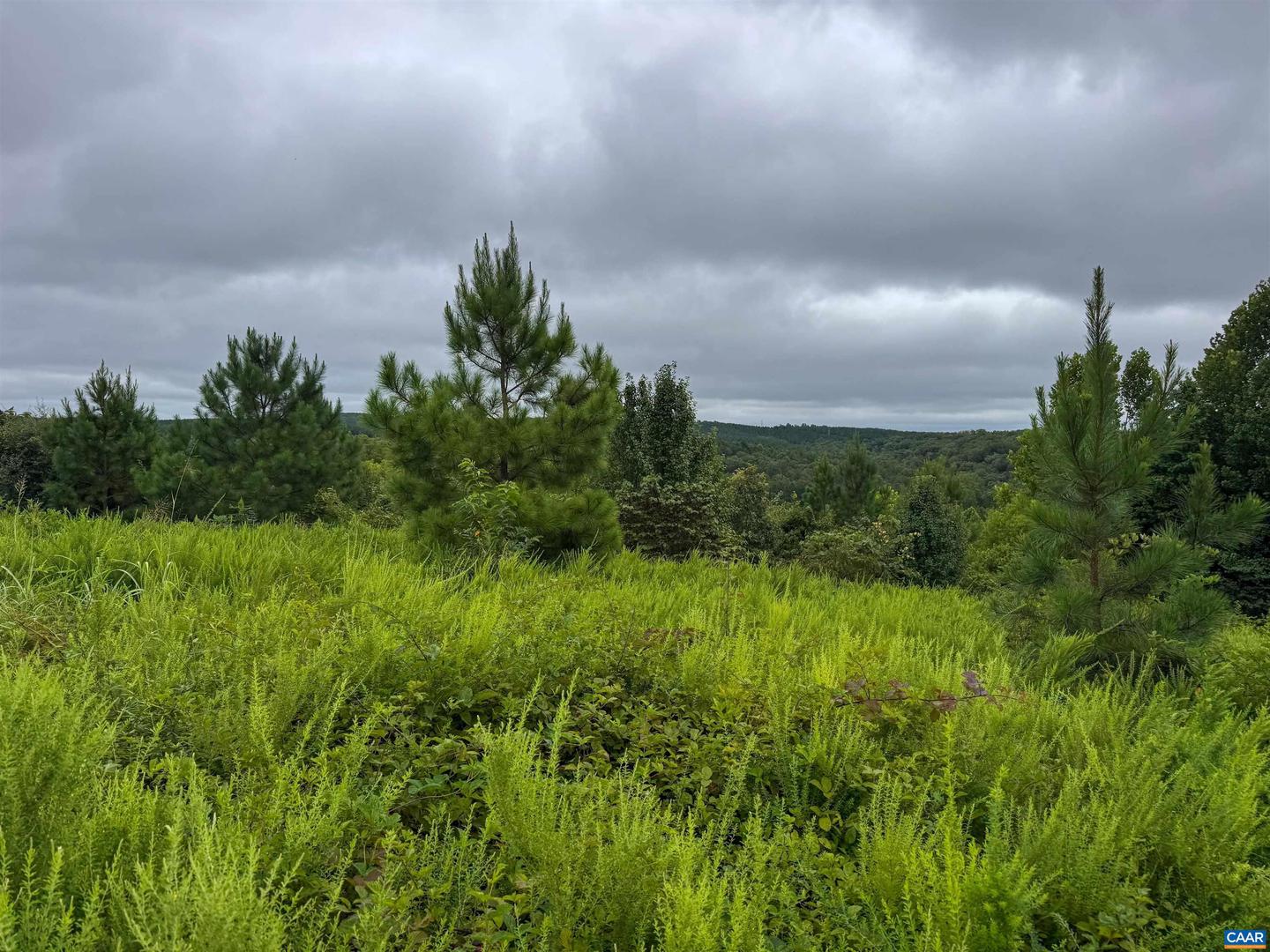 TBA OLD GREEN MOUNTAIN RD #00500, ESMONT, Virginia 22937, ,Farm,For Sale,TBA OLD GREEN MOUNTAIN RD #00500,668925 MLS # 668925 TBA OLD GREEN MOUNTAIN RD #00500, ESMONT, Virginia 22937, ,Farm,For Sale,TBA OLD GREEN MOUNTAIN RD #00500,668925 MLS # 668925