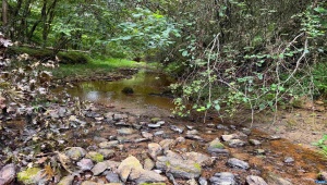 TBA OLD GREEN MOUNTAIN RD #00500 ESMONT Virginia 22937