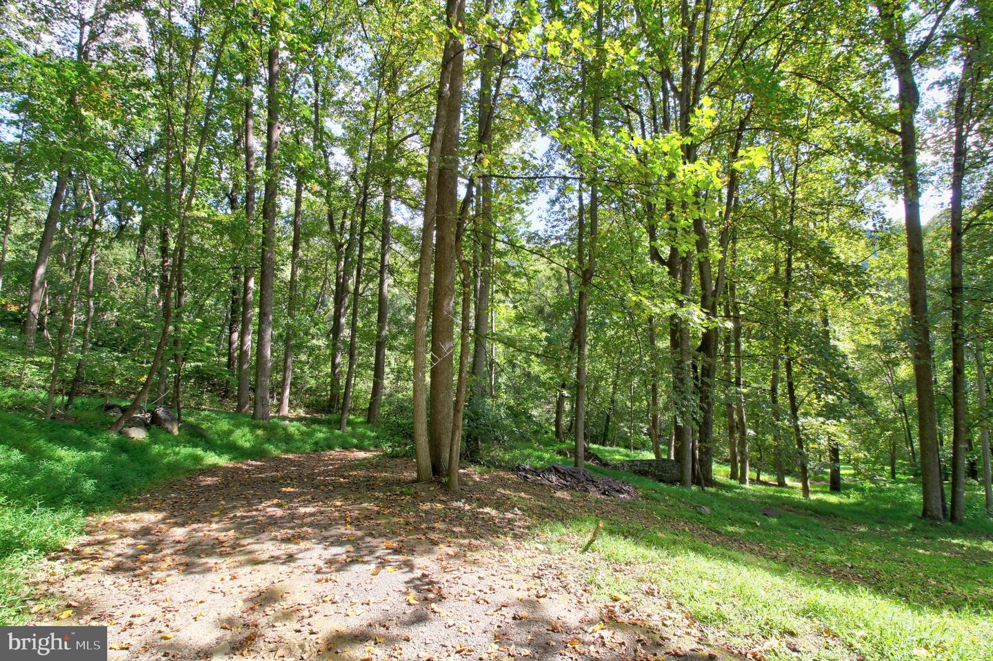 669 GID BROWN HOLLOW RD, WASHINGTON, Virginia 22747, 3 Bedrooms Bedrooms, ,2 BathroomsBathrooms,Residential,For Sale,669 GID BROWN HOLLOW RD,VARP2002262 MLS # VARP2002262