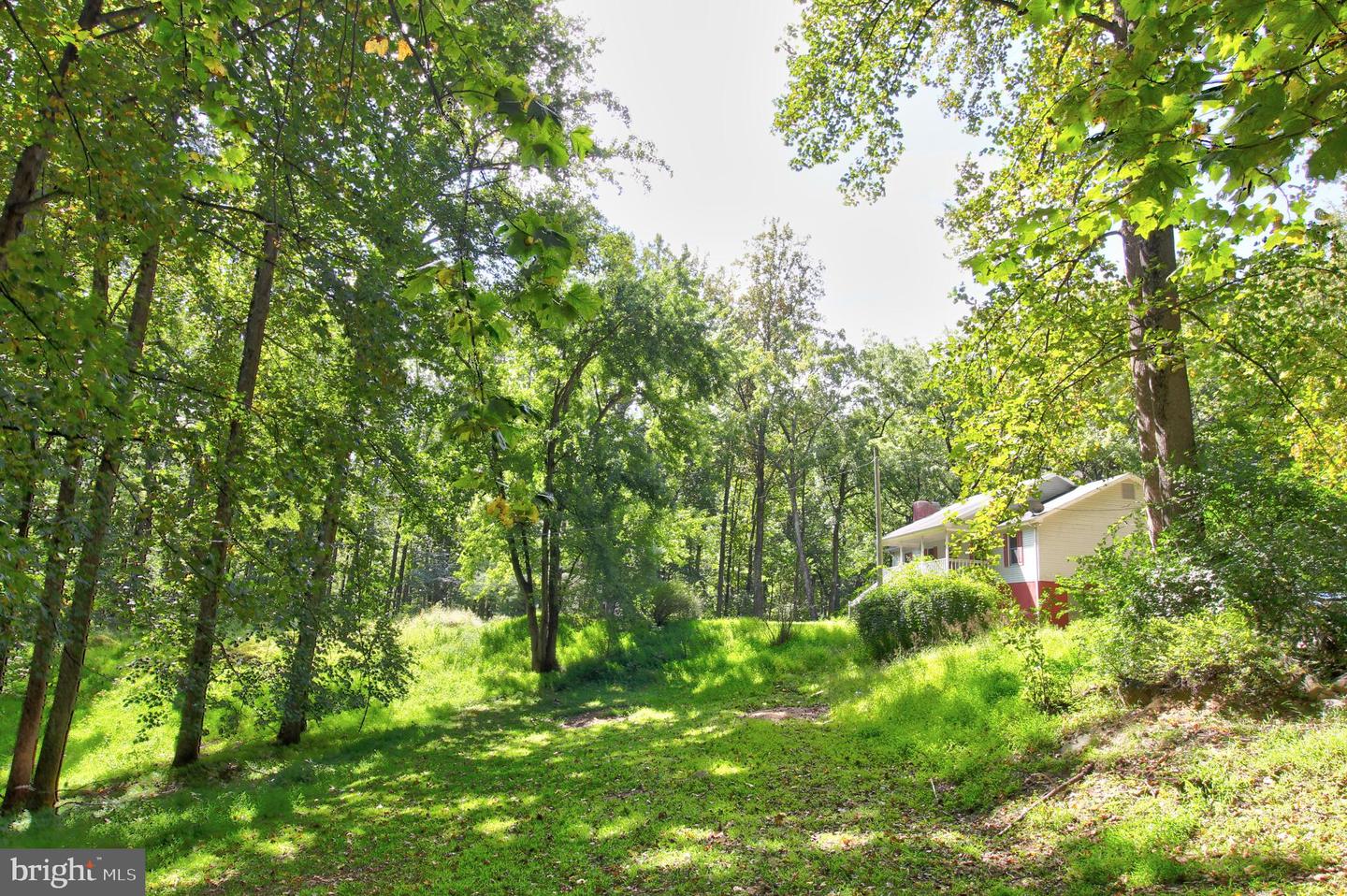 669 GID BROWN HOLLOW RD, WASHINGTON, Virginia 22747, 3 Bedrooms Bedrooms, ,2 BathroomsBathrooms,Residential,For Sale,669 GID BROWN HOLLOW RD,VARP2002262 MLS # VARP2002262