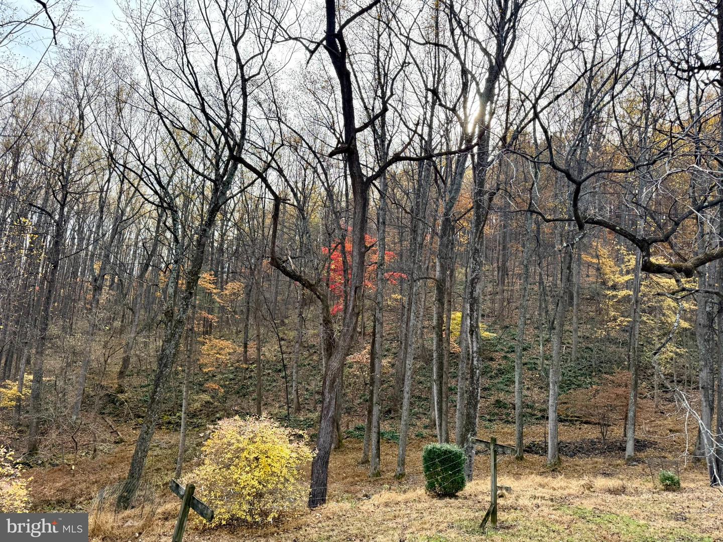 669 GID BROWN HOLLOW RD, WASHINGTON, Virginia 22747, 3 Bedrooms Bedrooms, ,2 BathroomsBathrooms,Residential,For Sale,669 GID BROWN HOLLOW RD,VARP2002262 MLS # VARP2002262