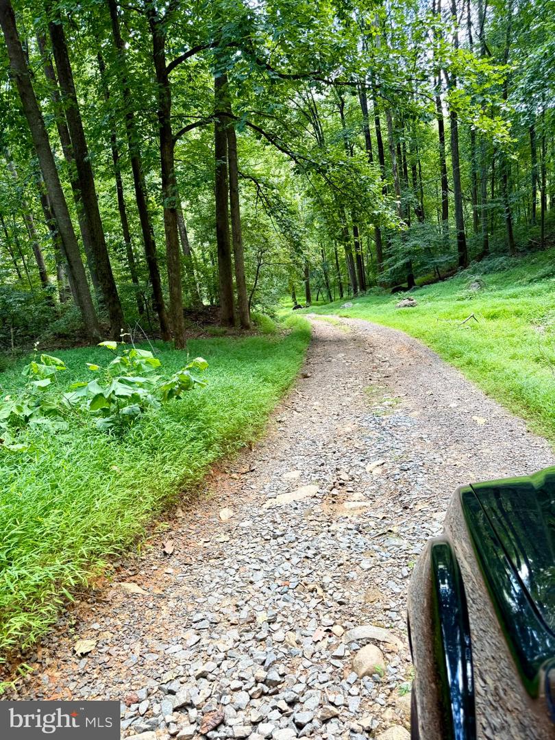 669 GID BROWN HOLLOW RD, WASHINGTON, Virginia 22747, 3 Bedrooms Bedrooms, ,2 BathroomsBathrooms,Residential,For Sale,669 GID BROWN HOLLOW RD,VARP2002262 MLS # VARP2002262