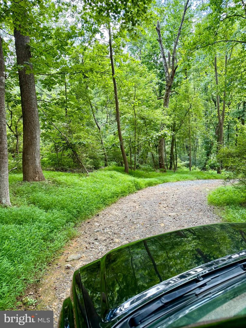 669 GID BROWN HOLLOW RD, WASHINGTON, Virginia 22747, 3 Bedrooms Bedrooms, ,2 BathroomsBathrooms,Residential,For Sale,669 GID BROWN HOLLOW RD,VARP2002262 MLS # VARP2002262