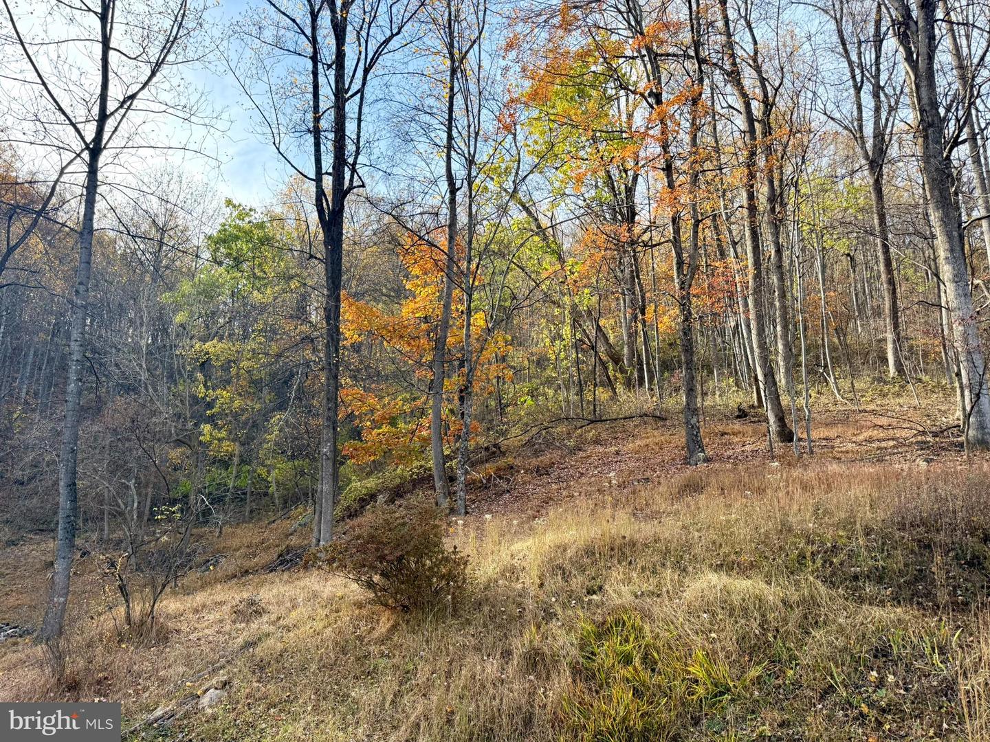 669 GID BROWN HOLLOW RD, WASHINGTON, Virginia 22747, 3 Bedrooms Bedrooms, ,2 BathroomsBathrooms,Residential,For Sale,669 GID BROWN HOLLOW RD,VARP2002262 MLS # VARP2002262