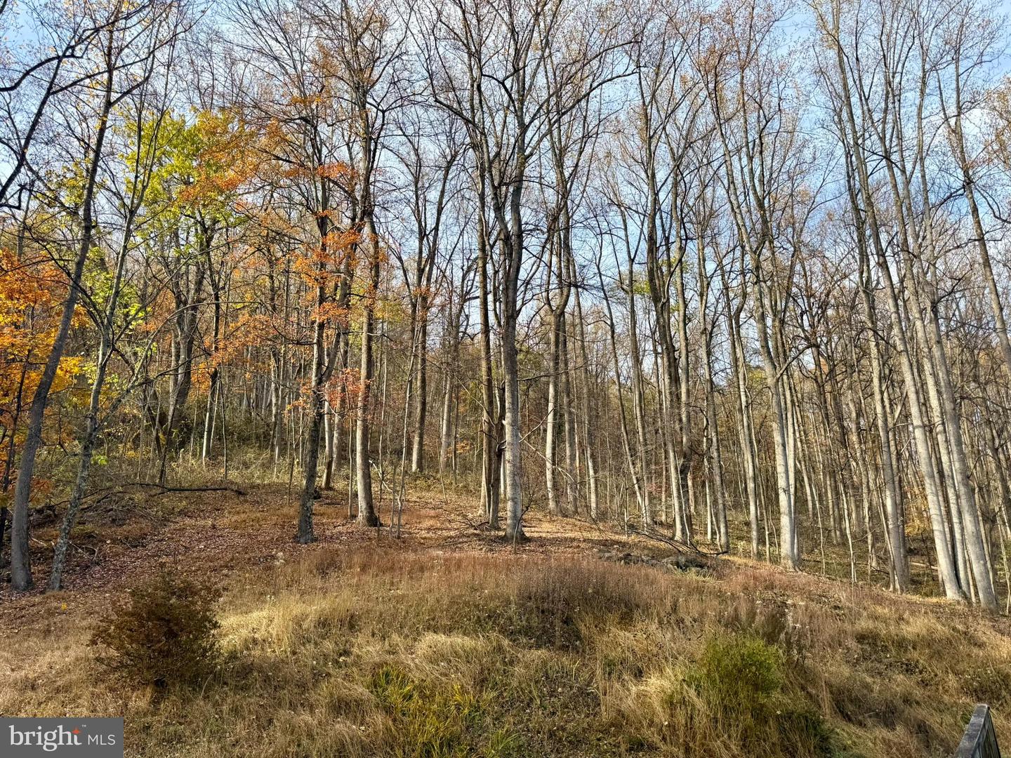 669 GID BROWN HOLLOW RD, WASHINGTON, Virginia 22747, 3 Bedrooms Bedrooms, ,2 BathroomsBathrooms,Residential,For Sale,669 GID BROWN HOLLOW RD,VARP2002262 MLS # VARP2002262