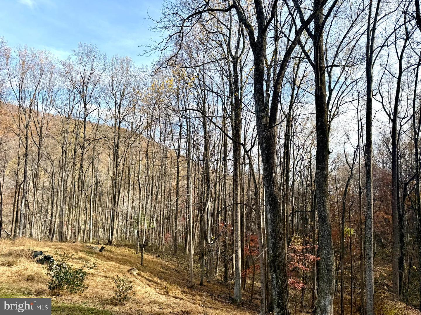 669 GID BROWN HOLLOW RD, WASHINGTON, Virginia 22747, 3 Bedrooms Bedrooms, ,2 BathroomsBathrooms,Residential,For Sale,669 GID BROWN HOLLOW RD,VARP2002262 MLS # VARP2002262