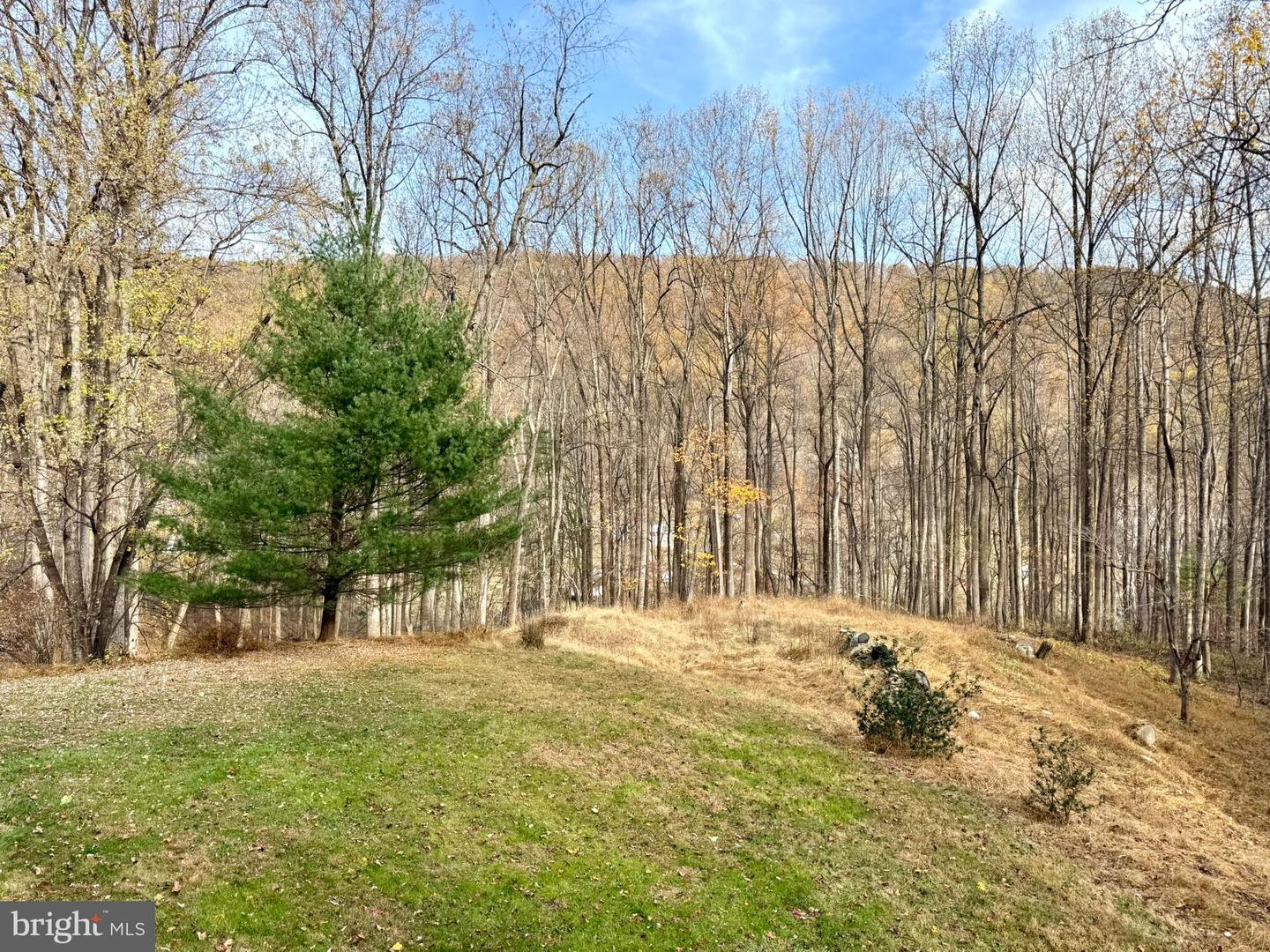 669 GID BROWN HOLLOW RD, WASHINGTON, Virginia 22747, 3 Bedrooms Bedrooms, ,2 BathroomsBathrooms,Residential,For Sale,669 GID BROWN HOLLOW RD,VARP2002262 MLS # VARP2002262