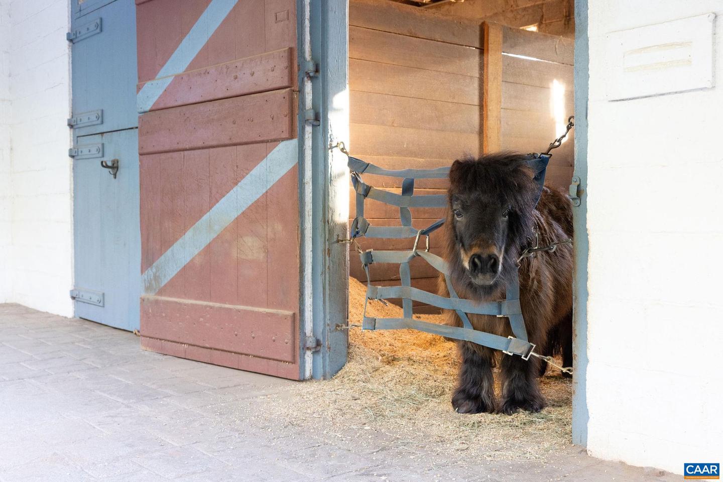 8199 SCOTTLAND FARM DR, ESMONT, Virginia 22937, 4 Bedrooms Bedrooms, ,3 BathroomsBathrooms,Residential,For Sale,8199 SCOTTLAND FARM DR,661974 MLS # 661974 8199 SCOTTLAND FARM DR, ESMONT, Virginia 22937, 4 Bedrooms Bedrooms, ,3 BathroomsBathrooms,Residential,For Sale,8199 SCOTTLAND FARM DR,661974 MLS # 661974