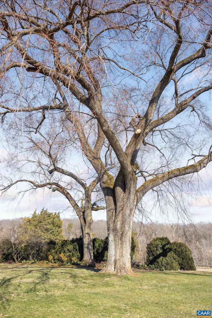 2328 LIBERTY CORNER RD, ESMONT, Virginia 22937, 4 Bedrooms Bedrooms, ,3 BathroomsBathrooms,Residential,For Sale,2328 LIBERTY CORNER RD,661342 MLS # 661342 2328 LIBERTY CORNER RD, ESMONT, Virginia 22937, 4 Bedrooms Bedrooms, ,3 BathroomsBathrooms,Residential,For Sale,2328 LIBERTY CORNER RD,661342 MLS # 661342