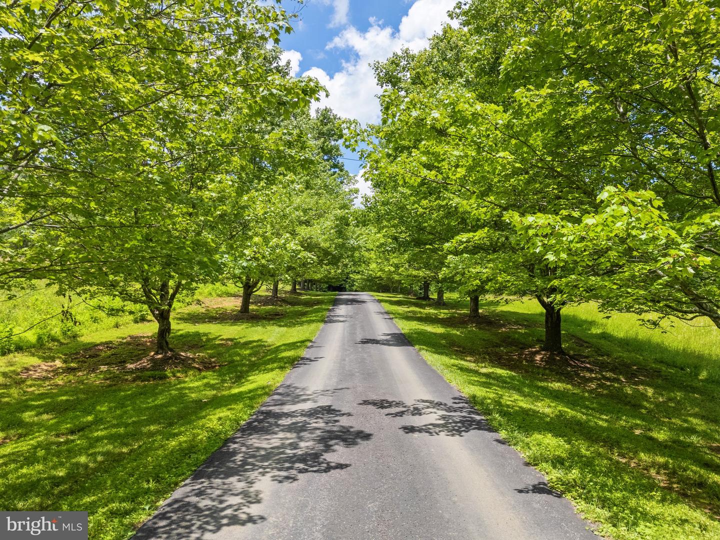 156 BEAR WALLOW RD, HUNTLY, Virginia 22640, 4 Bedrooms Bedrooms, ,5 BathroomsBathrooms,Residential,For Sale,156 BEAR WALLOW RD,VARP2002224 MLS # VARP2002224 156 BEAR WALLOW RD, HUNTLY, Virginia 22640, 4 Bedrooms Bedrooms, ,5 BathroomsBathrooms,Residential,For Sale,156 BEAR WALLOW RD,VARP2002224 MLS # VARP2002224