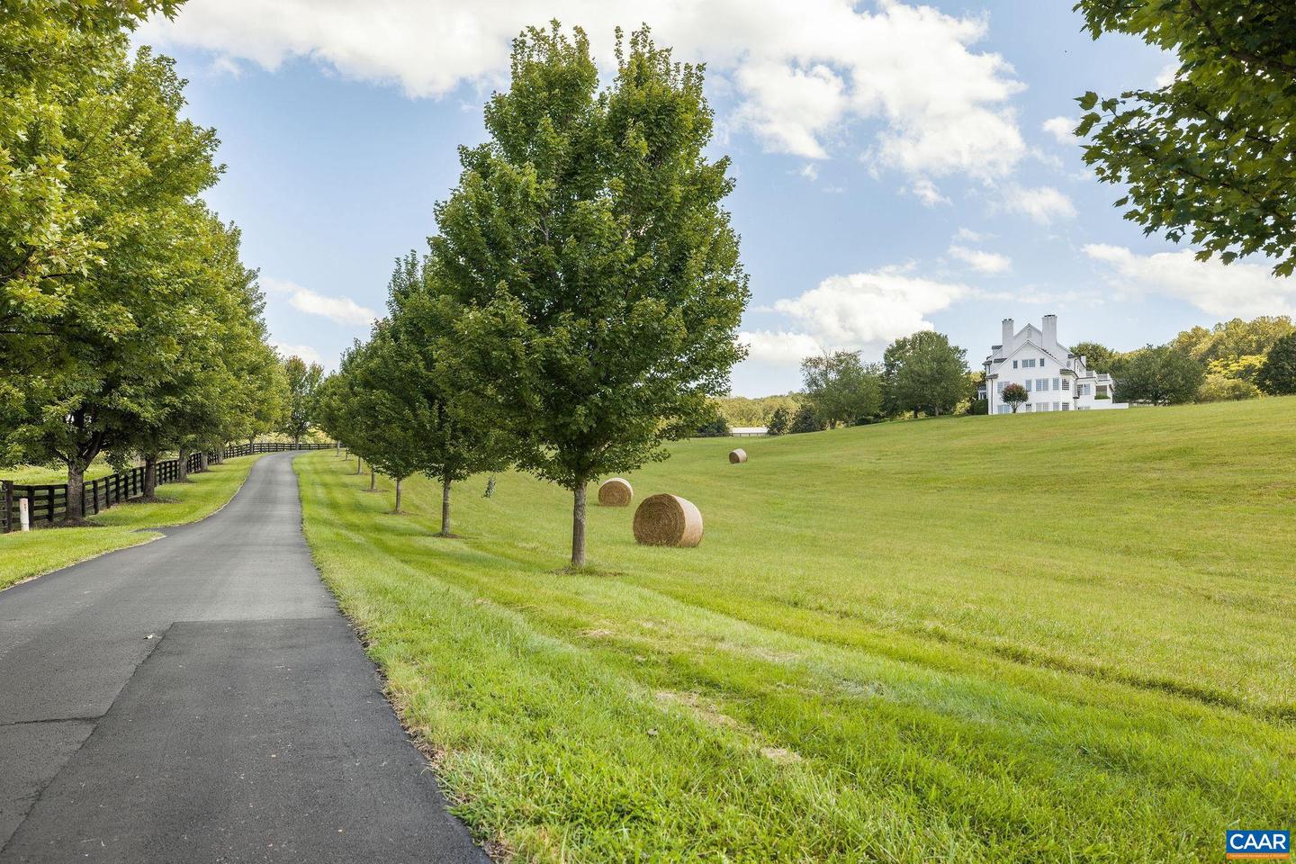 3365 STONY POINT RD, CHARLOTTESVILLE, Virginia 22911, 6 Bedrooms Bedrooms, ,7 BathroomsBathrooms,Residential,For Sale,3365 STONY POINT RD,668818 MLS # 668818 3365 STONY POINT RD, CHARLOTTESVILLE, Virginia 22911, 6 Bedrooms Bedrooms, ,7 BathroomsBathrooms,Residential,For Sale,3365 STONY POINT RD,668818 MLS # 668818