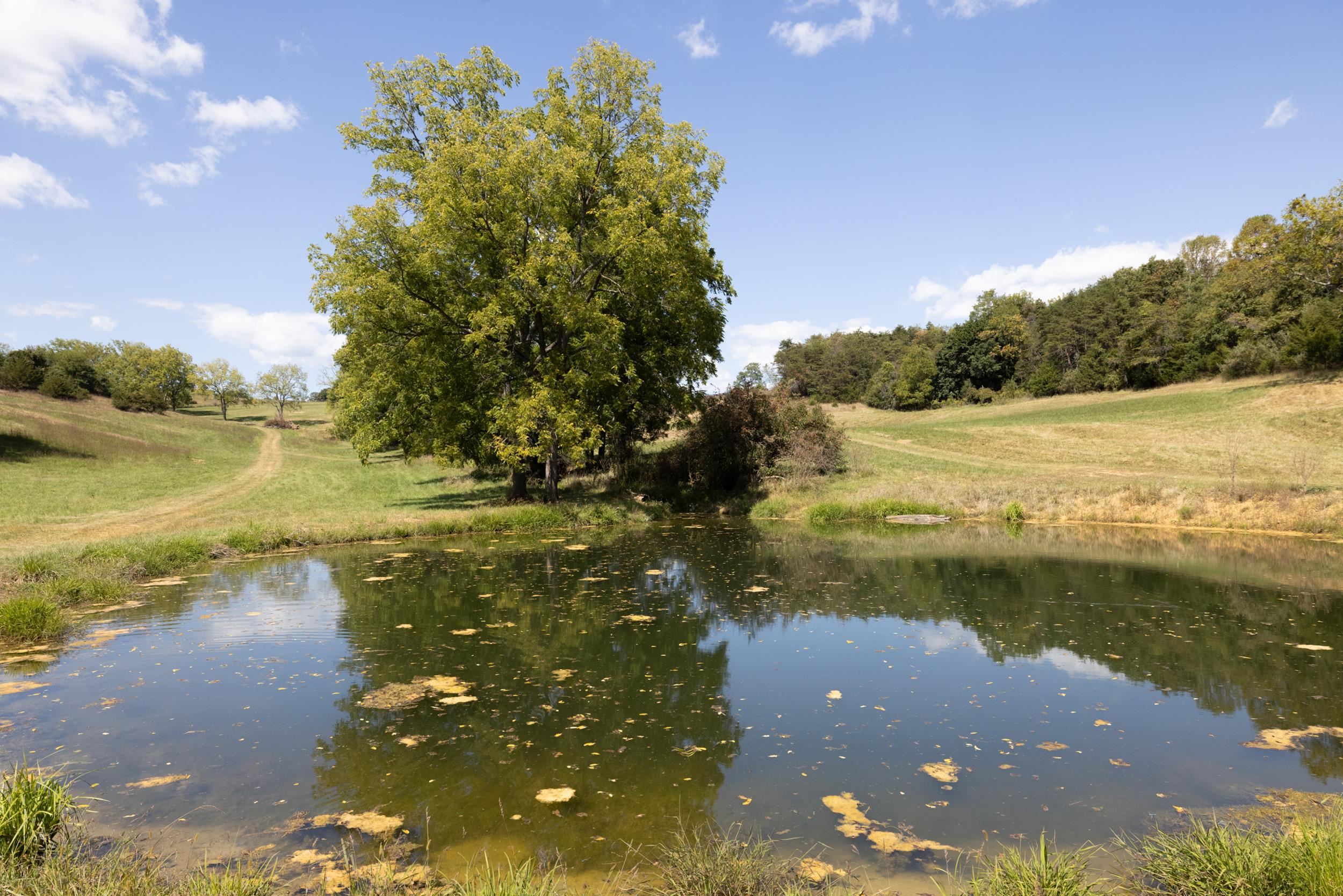 1370 MIDDLEBROOK RD, STAUNTON, Virginia 24401, 5 Bedrooms Bedrooms, ,4 BathroomsBathrooms,Residential,14,1370 MIDDLEBROOK RD,669053 MLS # 669053