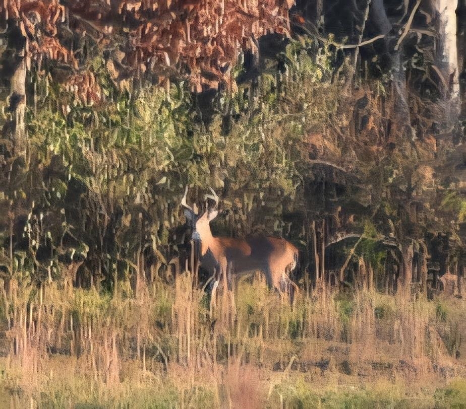 1370 MIDDLEBROOK RD, STAUNTON, Virginia 24401, 5 Bedrooms Bedrooms, ,4 BathroomsBathrooms,Residential,14,1370 MIDDLEBROOK RD,669053 MLS # 669053
