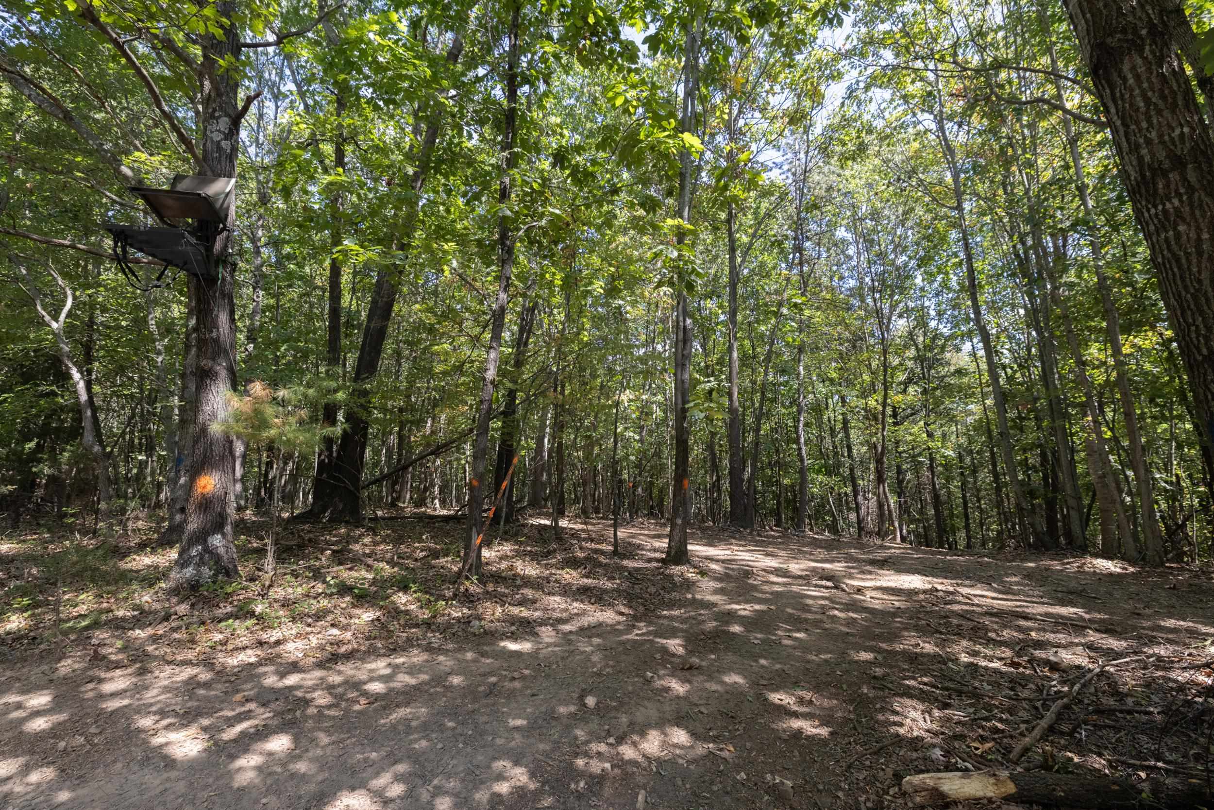 1370 MIDDLEBROOK RD, STAUNTON, Virginia 24401, 5 Bedrooms Bedrooms, ,4 BathroomsBathrooms,Residential,14,1370 MIDDLEBROOK RD,669053 MLS # 669053