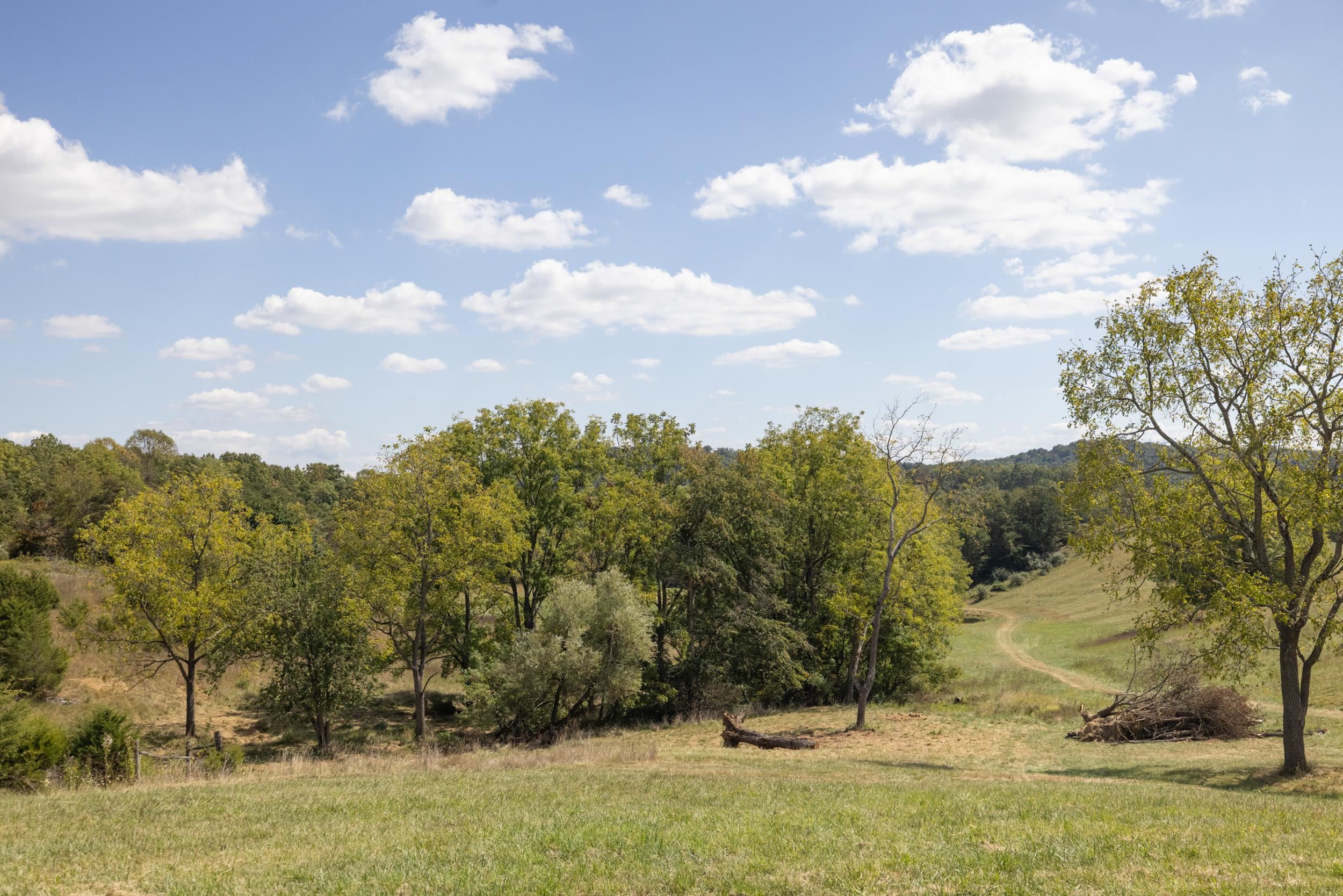 1370 MIDDLEBROOK RD, STAUNTON, Virginia 24401, 5 Bedrooms Bedrooms, ,4 BathroomsBathrooms,Residential,14,1370 MIDDLEBROOK RD,669053 MLS # 669053