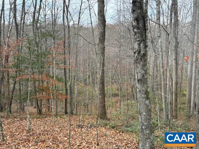 PART OF TM 24-1 MITCHELL MOUNTAIN RD #PORTION OF T, HAYWOOD, Virginia 22722, ,Land,For Sale,PART OF TM 24-1 MITCHELL MOUNTAIN RD #PORTION OF T,669086 MLS # 669086