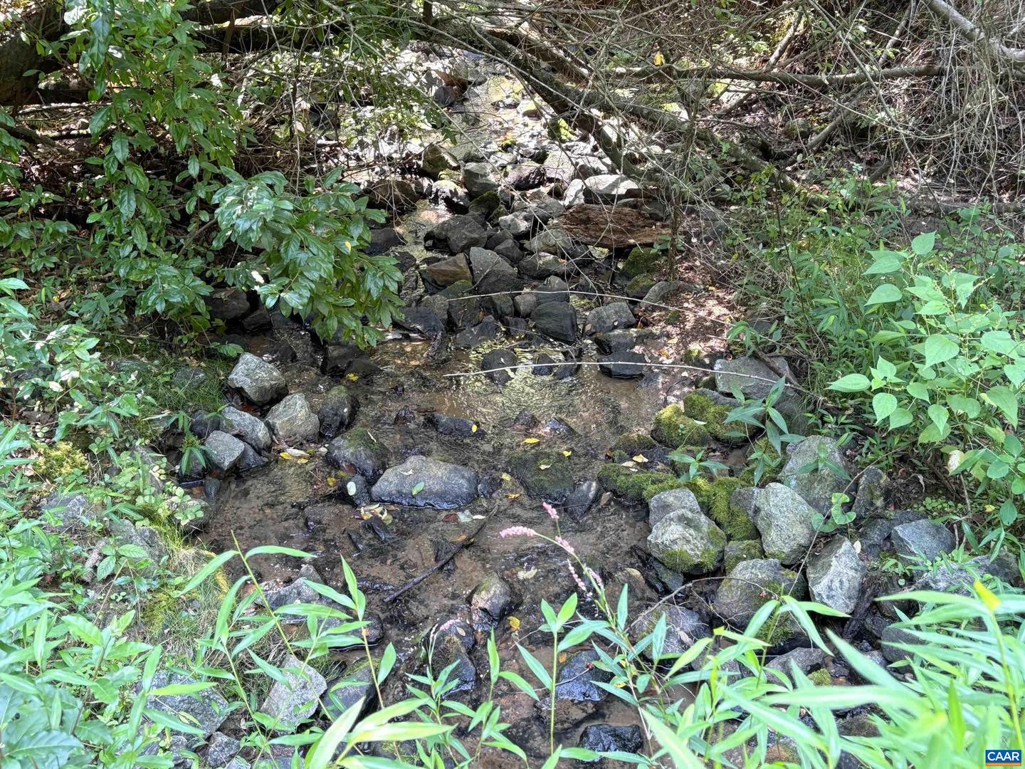 PART OF TM 24-1 MITCHELL MOUNTAIN RD #PORTION OF T, HAYWOOD, Virginia 22722, ,Land,For Sale,PART OF TM 24-1 MITCHELL MOUNTAIN RD #PORTION OF T,669086 MLS # 669086 PART OF TM 24-1 MITCHELL MOUNTAIN RD #PORTION OF T, HAYWOOD, Virginia 22722, ,Land,For Sale,PART OF TM 24-1 MITCHELL MOUNTAIN RD #PORTION OF T,669086 MLS # 669086