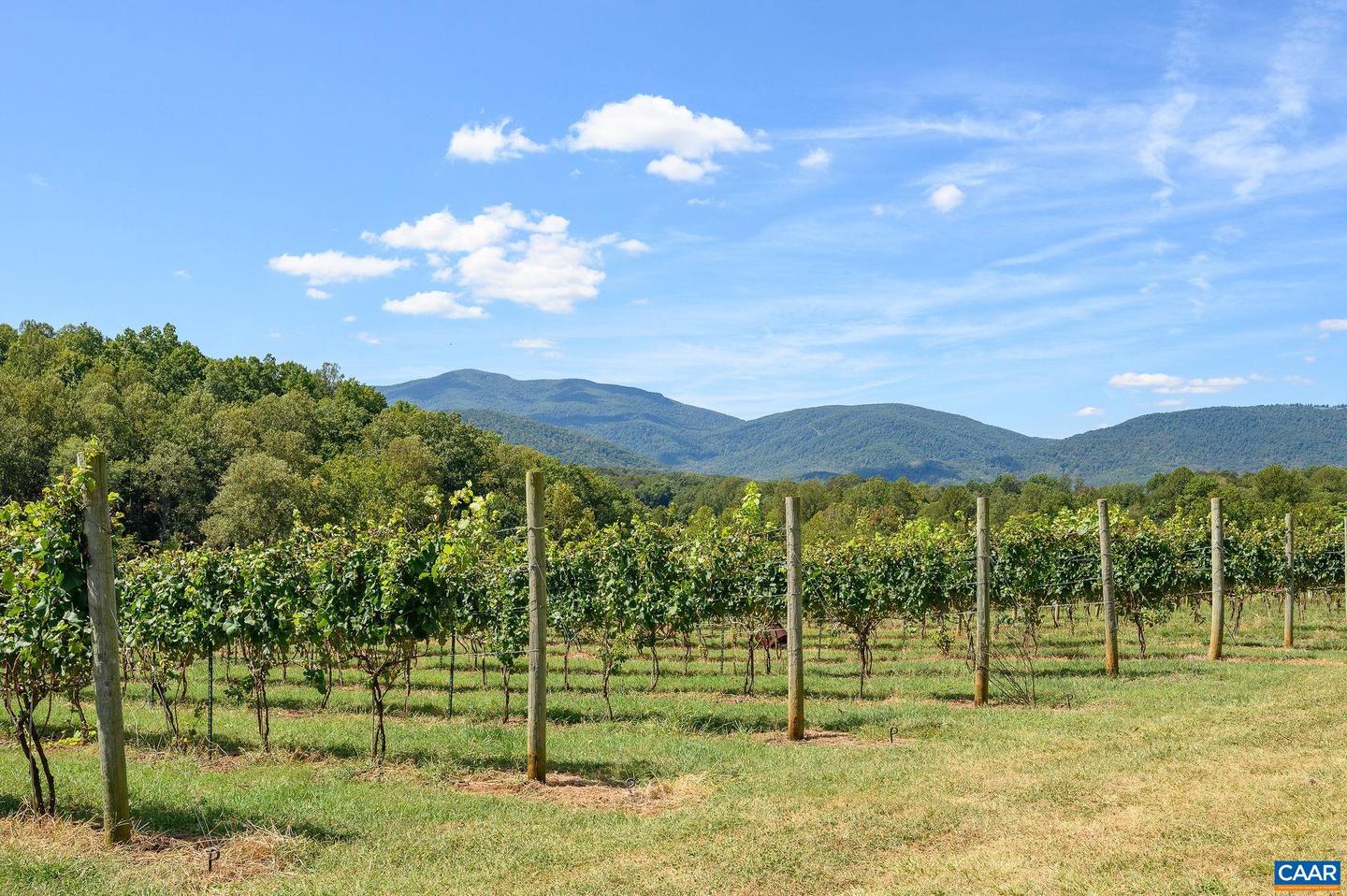 9175 BATESVILLE RD, AFTON, Virginia 22902, 5 Bedrooms Bedrooms, ,3 BathroomsBathrooms,Residential,For Sale,9175 BATESVILLE RD,669061 MLS # 669061 9175 BATESVILLE RD, AFTON, Virginia 22902, 5 Bedrooms Bedrooms, ,3 BathroomsBathrooms,Residential,For Sale,9175 BATESVILLE RD,669061 MLS # 669061