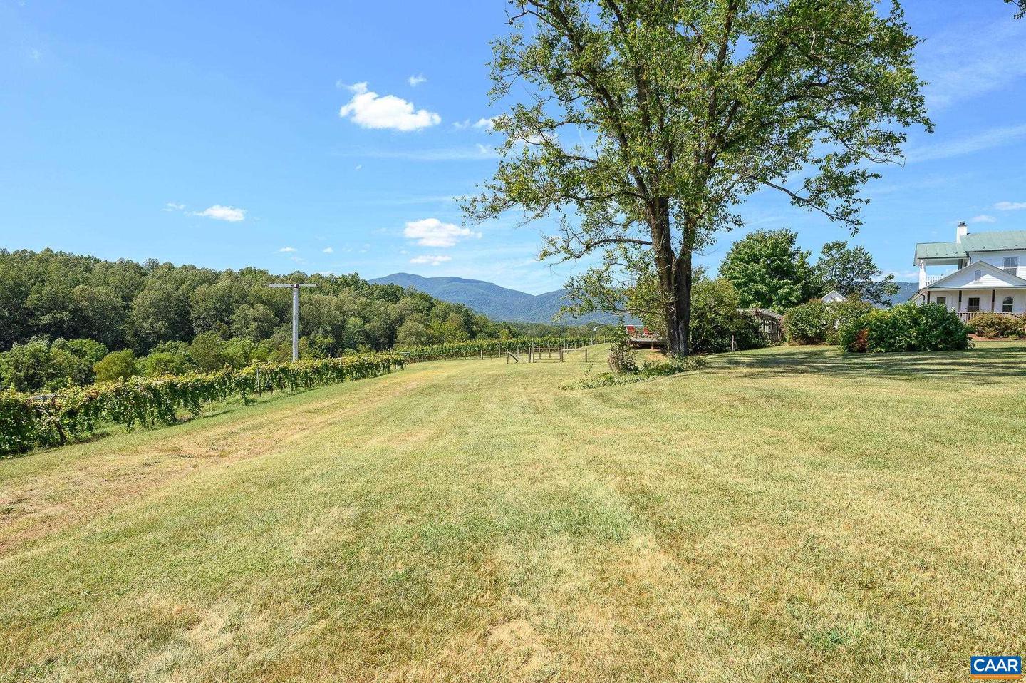 9175 BATESVILLE RD, AFTON, Virginia 22902, 5 Bedrooms Bedrooms, ,3 BathroomsBathrooms,Residential,For Sale,9175 BATESVILLE RD,669061 MLS # 669061 9175 BATESVILLE RD, AFTON, Virginia 22902, 5 Bedrooms Bedrooms, ,3 BathroomsBathrooms,Residential,For Sale,9175 BATESVILLE RD,669061 MLS # 669061