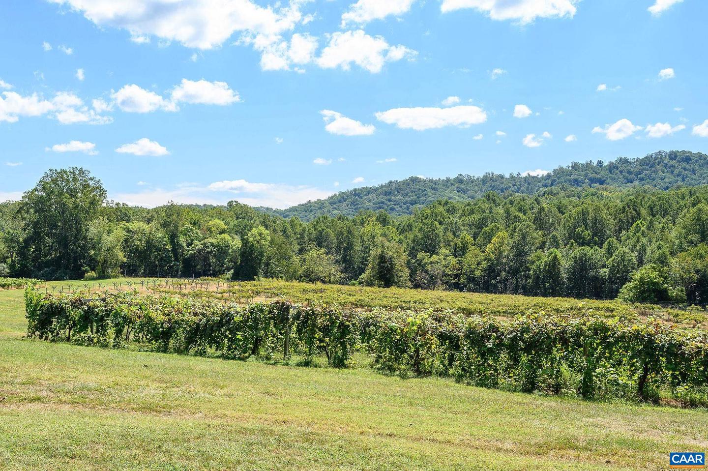 9175 BATESVILLE RD, AFTON, Virginia 22902, 5 Bedrooms Bedrooms, ,3 BathroomsBathrooms,Residential,For Sale,9175 BATESVILLE RD,669061 MLS # 669061 9175 BATESVILLE RD, AFTON, Virginia 22902, 5 Bedrooms Bedrooms, ,3 BathroomsBathrooms,Residential,For Sale,9175 BATESVILLE RD,669061 MLS # 669061