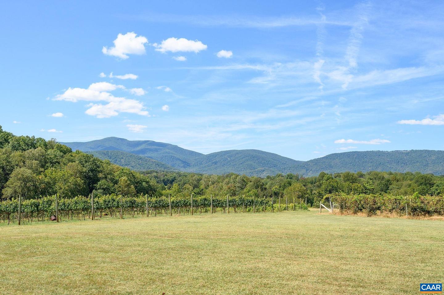 9175 BATESVILLE RD, AFTON, Virginia 22902, 5 Bedrooms Bedrooms, ,3 BathroomsBathrooms,Residential,For Sale,9175 BATESVILLE RD,669061 MLS # 669061 9175 BATESVILLE RD, AFTON, Virginia 22902, 5 Bedrooms Bedrooms, ,3 BathroomsBathrooms,Residential,For Sale,9175 BATESVILLE RD,669061 MLS # 669061