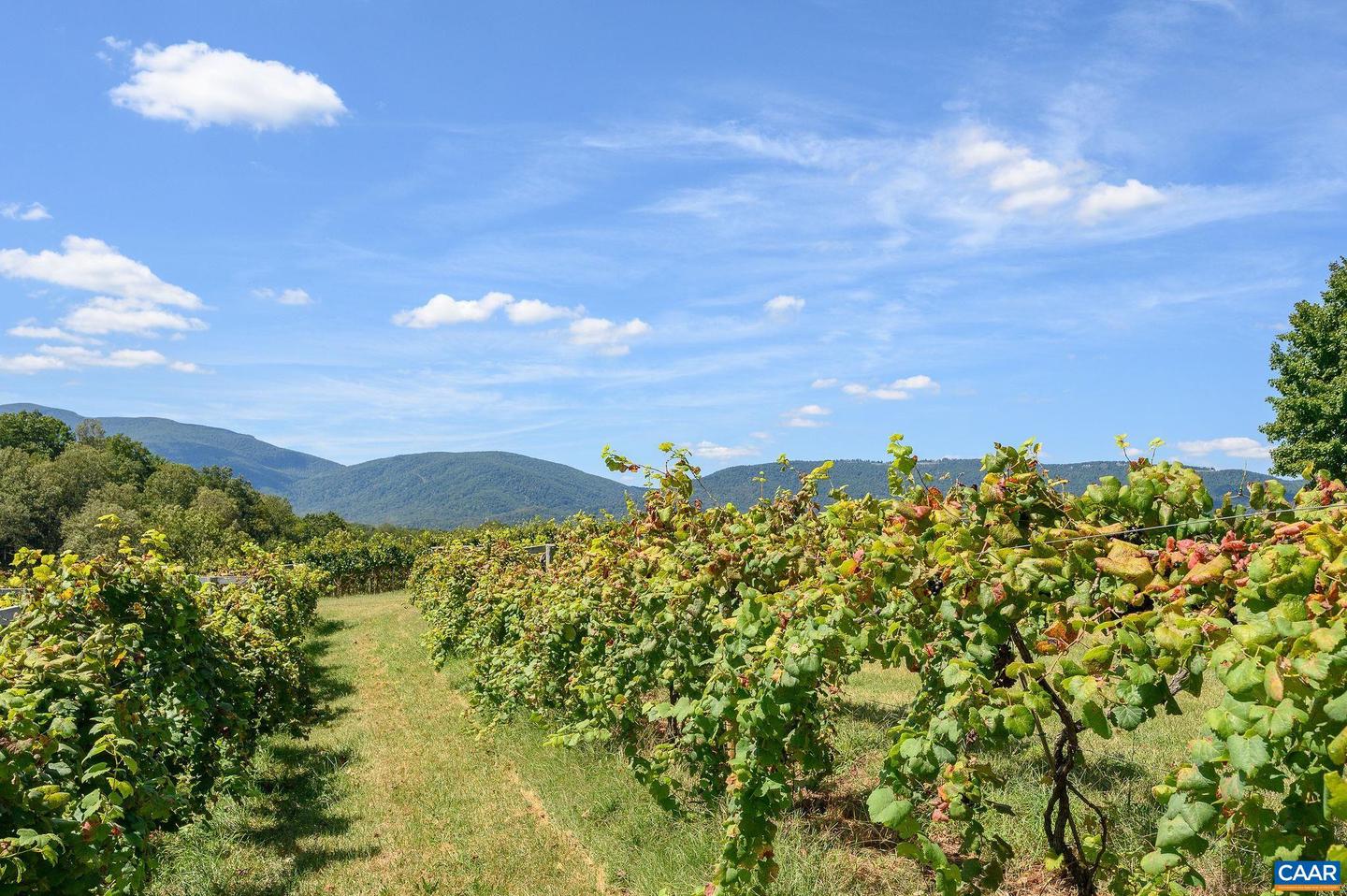 9175 BATESVILLE RD, AFTON, Virginia 22902, 5 Bedrooms Bedrooms, ,3 BathroomsBathrooms,Residential,For Sale,9175 BATESVILLE RD,669061 MLS # 669061 9175 BATESVILLE RD, AFTON, Virginia 22902, 5 Bedrooms Bedrooms, ,3 BathroomsBathrooms,Residential,For Sale,9175 BATESVILLE RD,669061 MLS # 669061