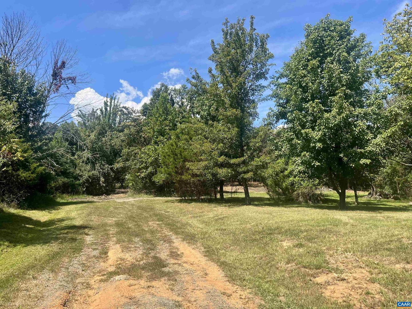 1630 BUCK RD, CROZET, Virginia 22932, ,Land,For Sale,1630 BUCK RD,669168 MLS # 669168 1630 BUCK RD, CROZET, Virginia 22932, ,Land,For Sale,1630 BUCK RD,669168 MLS # 669168