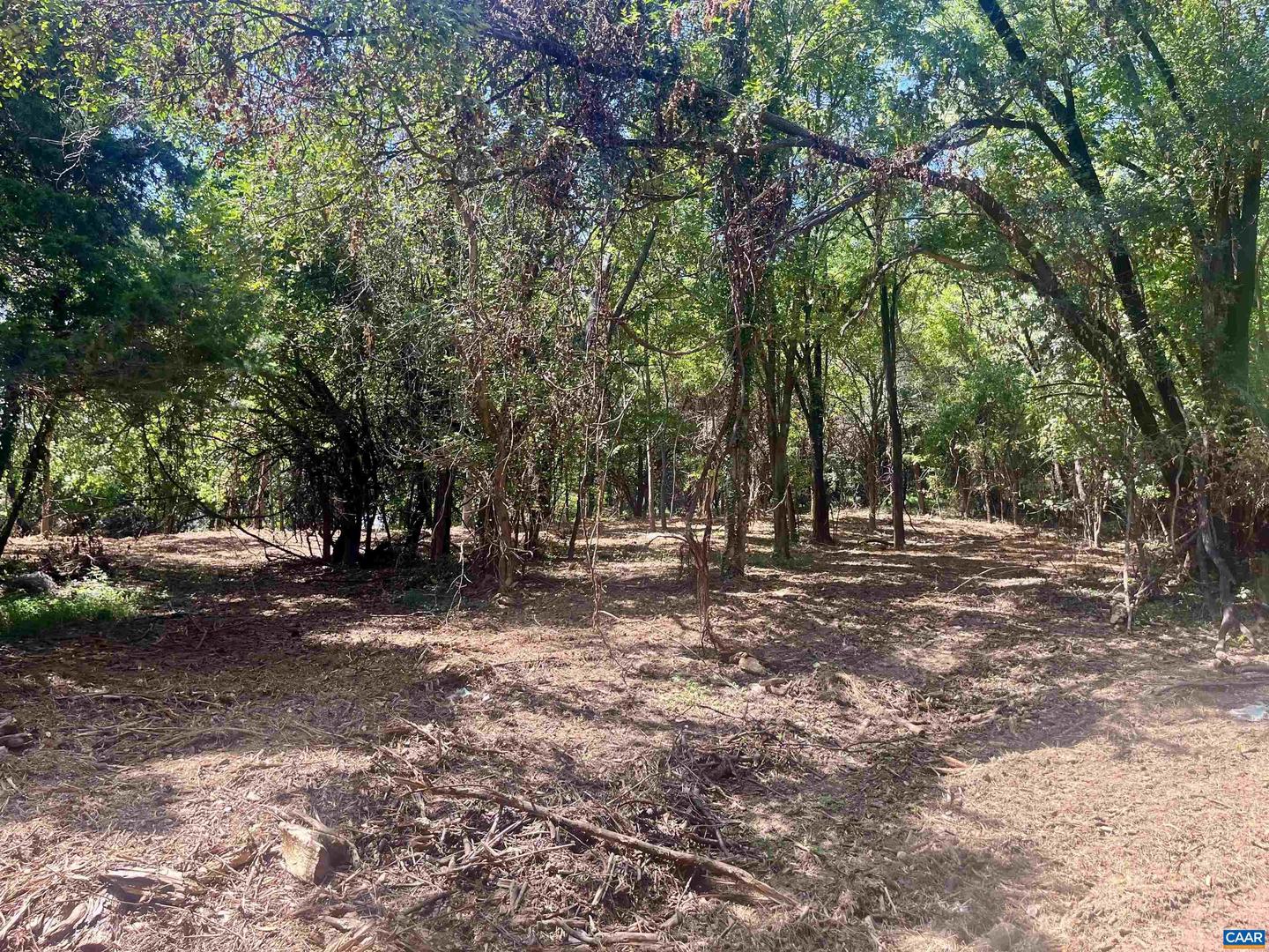 1630 BUCK RD, CROZET, Virginia 22932, ,Land,For Sale,1630 BUCK RD,669168 MLS # 669168 1630 BUCK RD, CROZET, Virginia 22932, ,Land,For Sale,1630 BUCK RD,669168 MLS # 669168