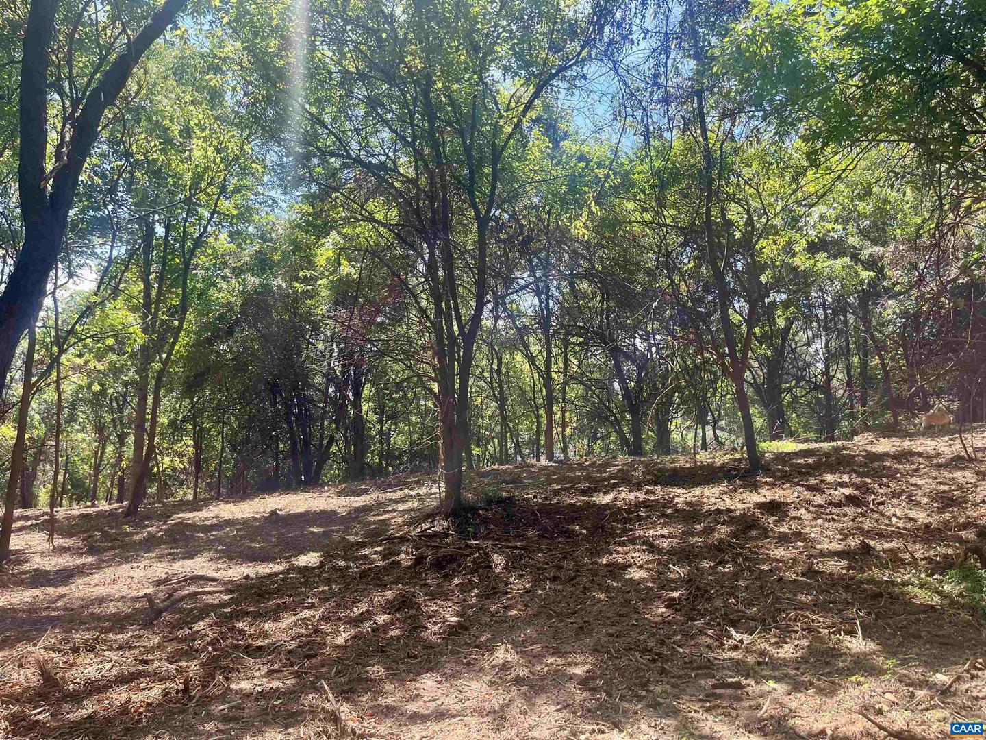 1630 BUCK RD, CROZET, Virginia 22932, ,Land,For Sale,1630 BUCK RD,669168 MLS # 669168 1630 BUCK RD, CROZET, Virginia 22932, ,Land,For Sale,1630 BUCK RD,669168 MLS # 669168