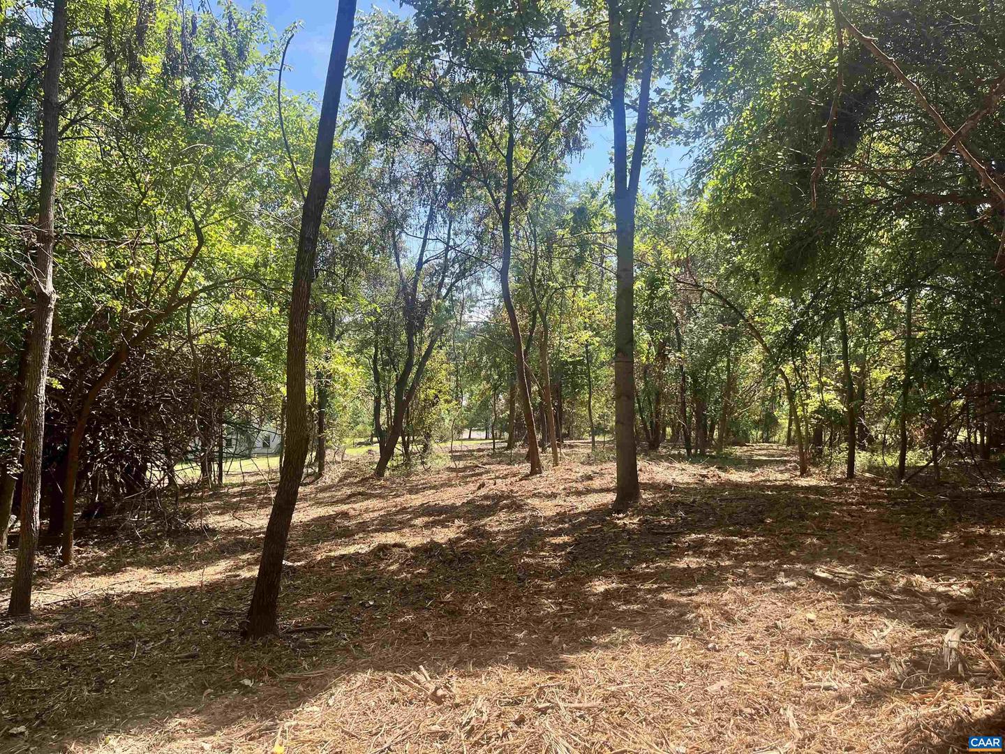 1630 BUCK RD, CROZET, Virginia 22932, ,Land,For Sale,1630 BUCK RD,669168 MLS # 669168 1630 BUCK RD, CROZET, Virginia 22932, ,Land,For Sale,1630 BUCK RD,669168 MLS # 669168