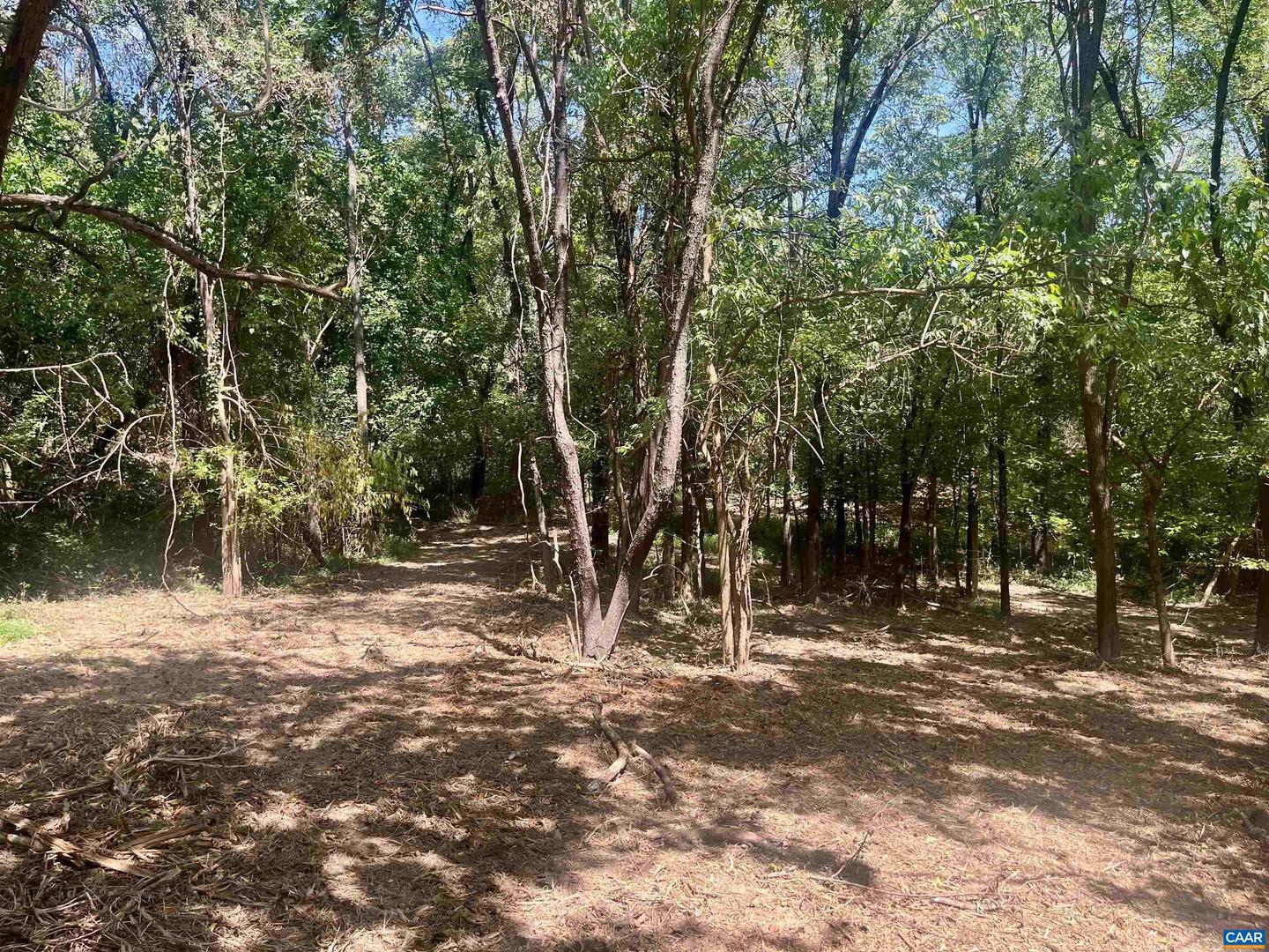 1630 BUCK RD, CROZET, Virginia 22932, ,Land,For Sale,1630 BUCK RD,669168 MLS # 669168 1630 BUCK RD, CROZET, Virginia 22932, ,Land,For Sale,1630 BUCK RD,669168 MLS # 669168