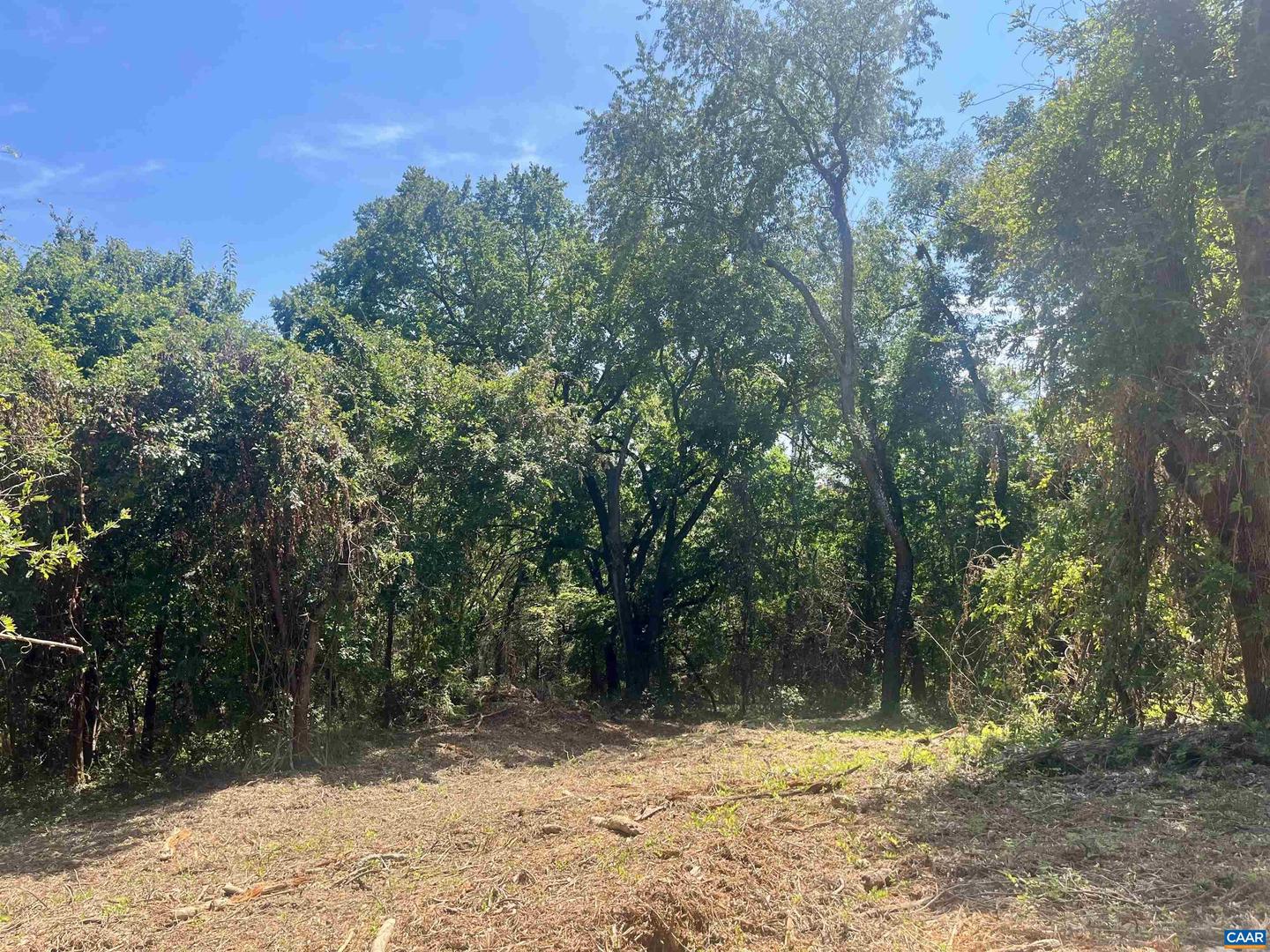 1630 BUCK RD, CROZET, Virginia 22932, ,Land,For Sale,1630 BUCK RD,669168 MLS # 669168 1630 BUCK RD, CROZET, Virginia 22932, ,Land,For Sale,1630 BUCK RD,669168 MLS # 669168