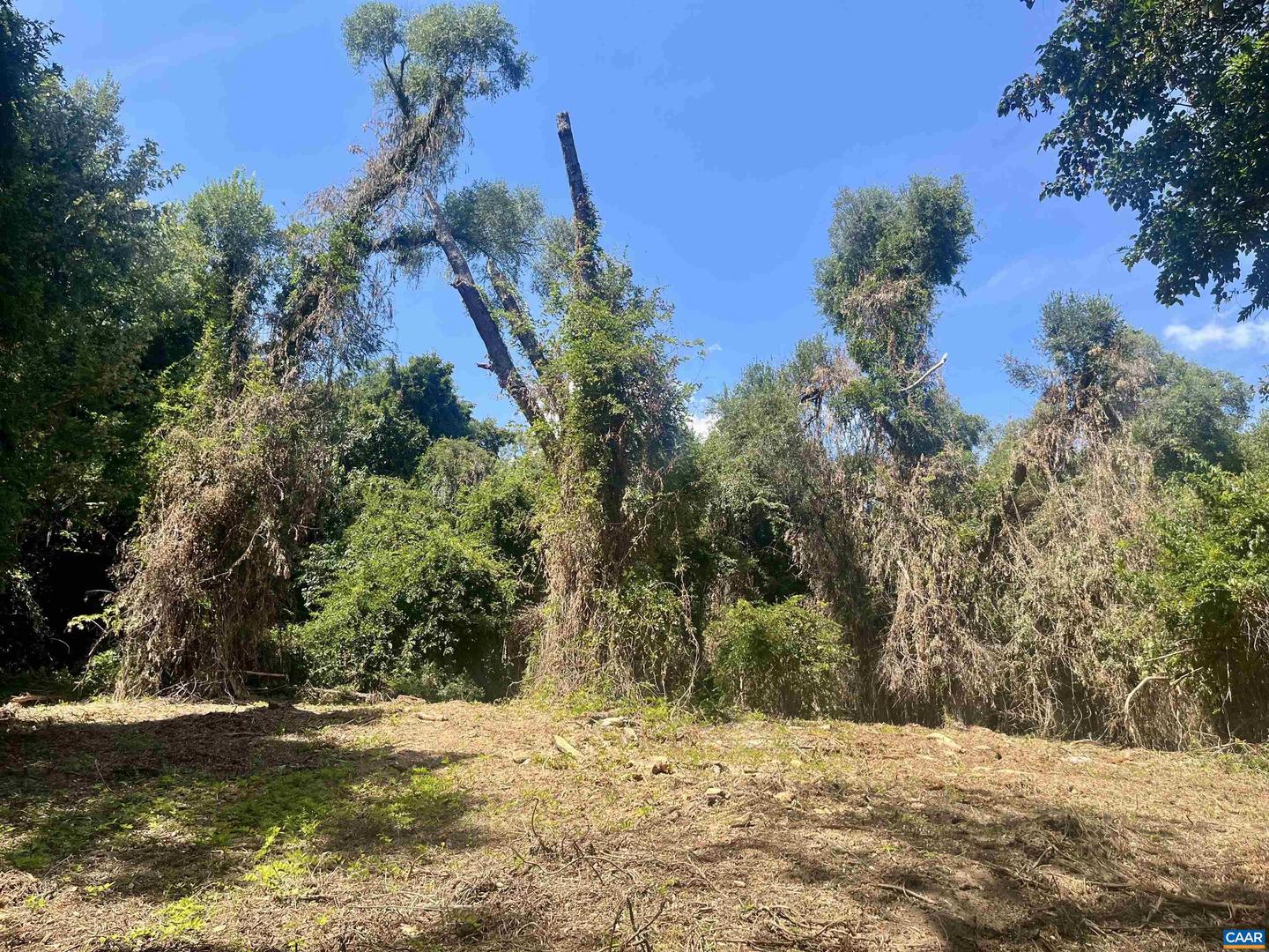 1630 BUCK RD, CROZET, Virginia 22932, ,Land,For Sale,1630 BUCK RD,669168 MLS # 669168 1630 BUCK RD, CROZET, Virginia 22932, ,Land,For Sale,1630 BUCK RD,669168 MLS # 669168