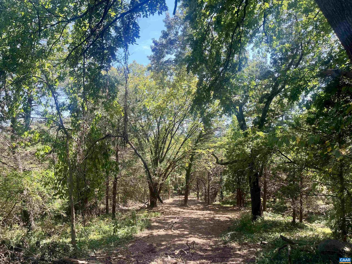 1630 BUCK RD, CROZET, Virginia 22932, ,Land,For Sale,1630 BUCK RD,669168 MLS # 669168 1630 BUCK RD, CROZET, Virginia 22932, ,Land,For Sale,1630 BUCK RD,669168 MLS # 669168