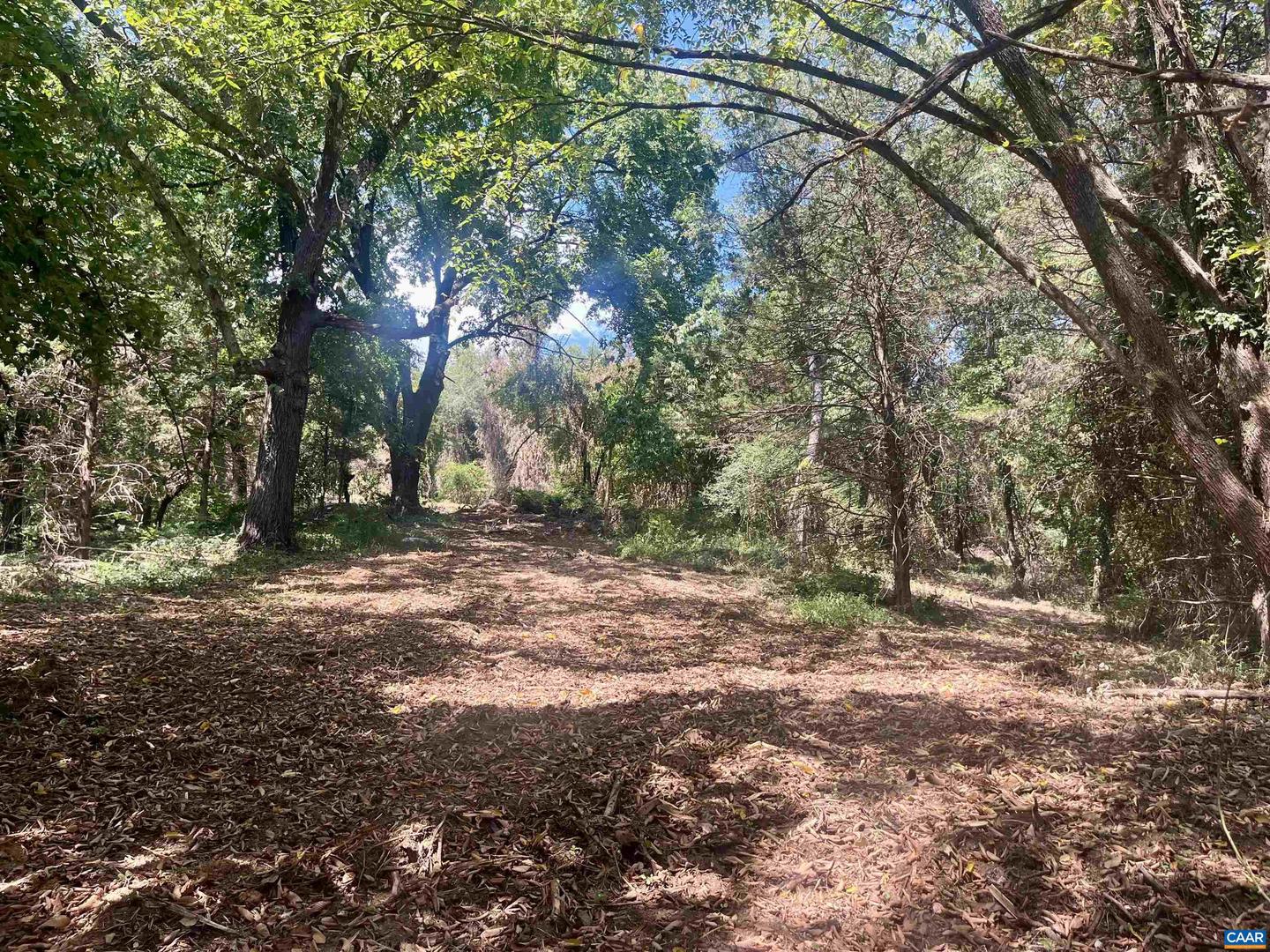 1630 BUCK RD, CROZET, Virginia 22932, ,Land,For Sale,1630 BUCK RD,669168 MLS # 669168 1630 BUCK RD, CROZET, Virginia 22932, ,Land,For Sale,1630 BUCK RD,669168 MLS # 669168