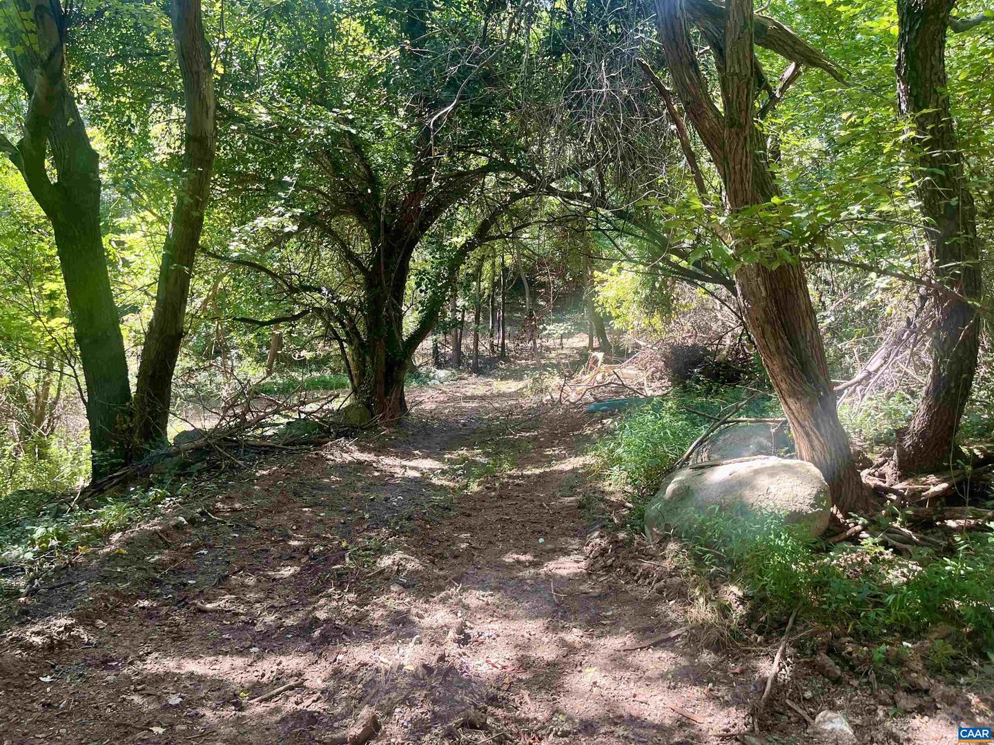 1630 BUCK RD, CROZET, Virginia 22932, ,Land,For Sale,1630 BUCK RD,669168 MLS # 669168 1630 BUCK RD, CROZET, Virginia 22932, ,Land,For Sale,1630 BUCK RD,669168 MLS # 669168