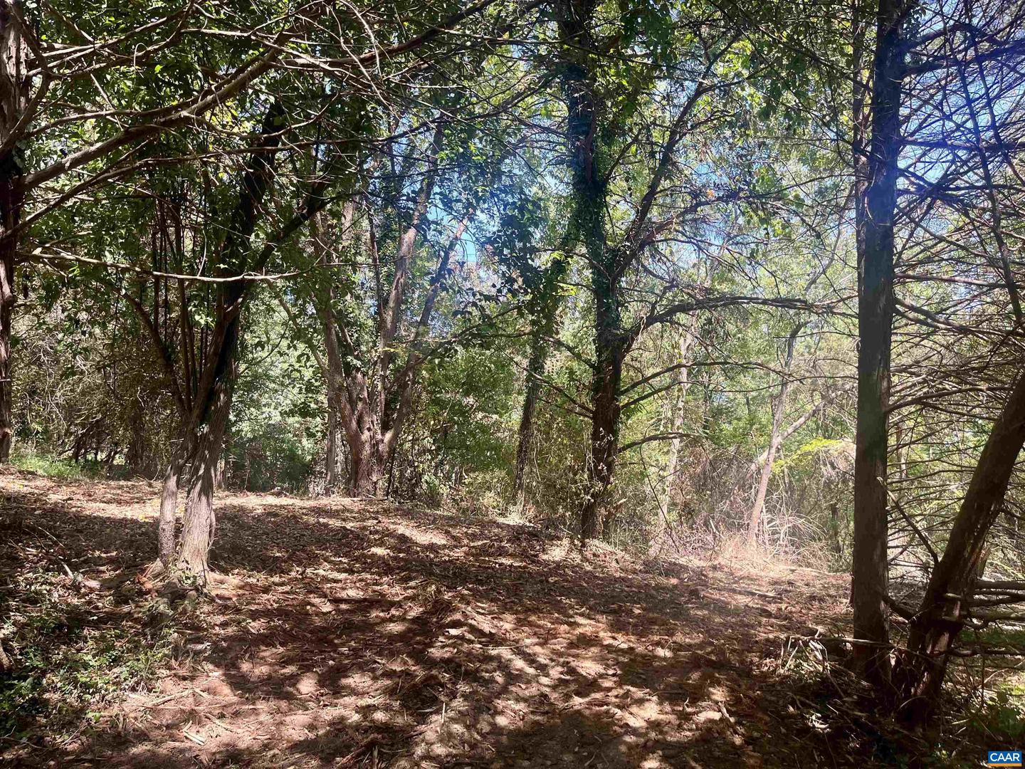 1630 BUCK RD, CROZET, Virginia 22932, ,Land,For Sale,1630 BUCK RD,669168 MLS # 669168 1630 BUCK RD, CROZET, Virginia 22932, ,Land,For Sale,1630 BUCK RD,669168 MLS # 669168