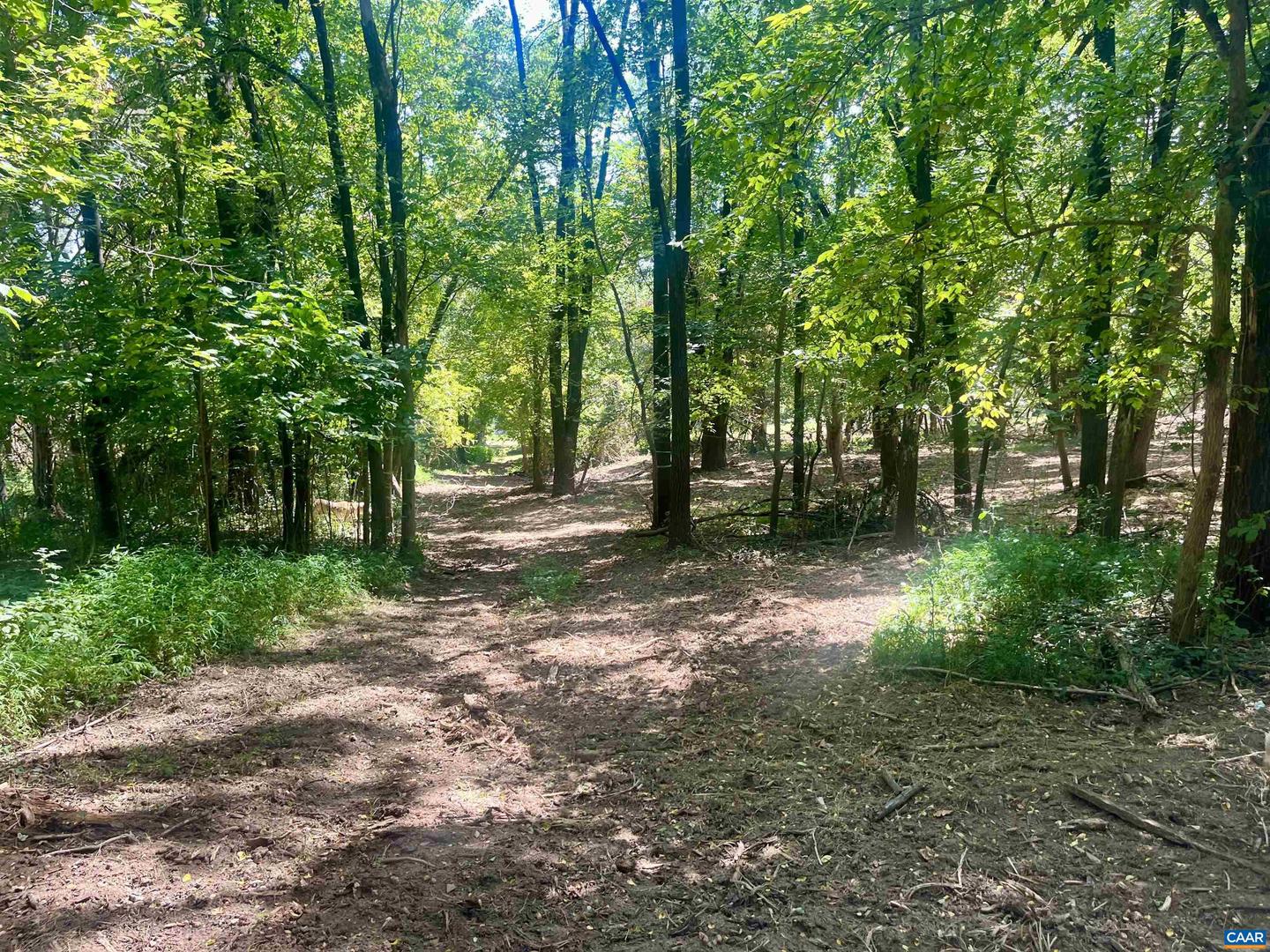 1630 BUCK RD, CROZET, Virginia 22932, ,Land,For Sale,1630 BUCK RD,669168 MLS # 669168 1630 BUCK RD, CROZET, Virginia 22932, ,Land,For Sale,1630 BUCK RD,669168 MLS # 669168