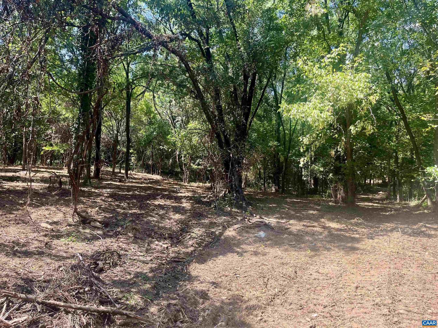 1630 BUCK RD, CROZET, Virginia 22932, ,Land,For Sale,1630 BUCK RD,669168 MLS # 669168 1630 BUCK RD, CROZET, Virginia 22932, ,Land,For Sale,1630 BUCK RD,669168 MLS # 669168