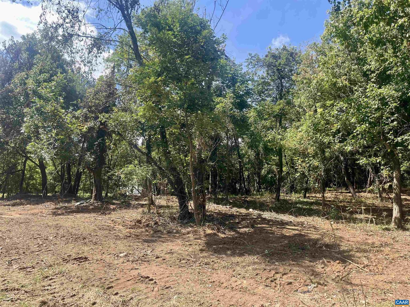 1630 BUCK RD, CROZET, Virginia 22932, ,Land,For Sale,1630 BUCK RD,669168 MLS # 669168 1630 BUCK RD, CROZET, Virginia 22932, ,Land,For Sale,1630 BUCK RD,669168 MLS # 669168