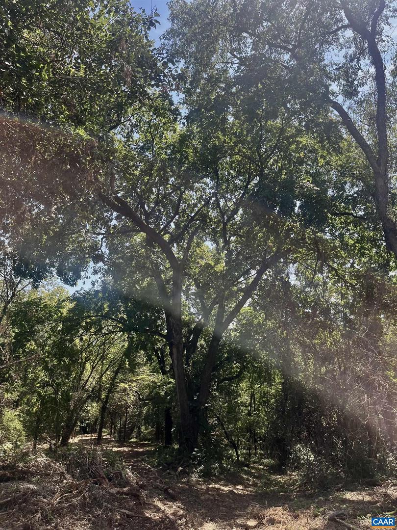 1630 BUCK RD, CROZET, Virginia 22932, ,Land,For Sale,1630 BUCK RD,669168 MLS # 669168 1630 BUCK RD, CROZET, Virginia 22932, ,Land,For Sale,1630 BUCK RD,669168 MLS # 669168