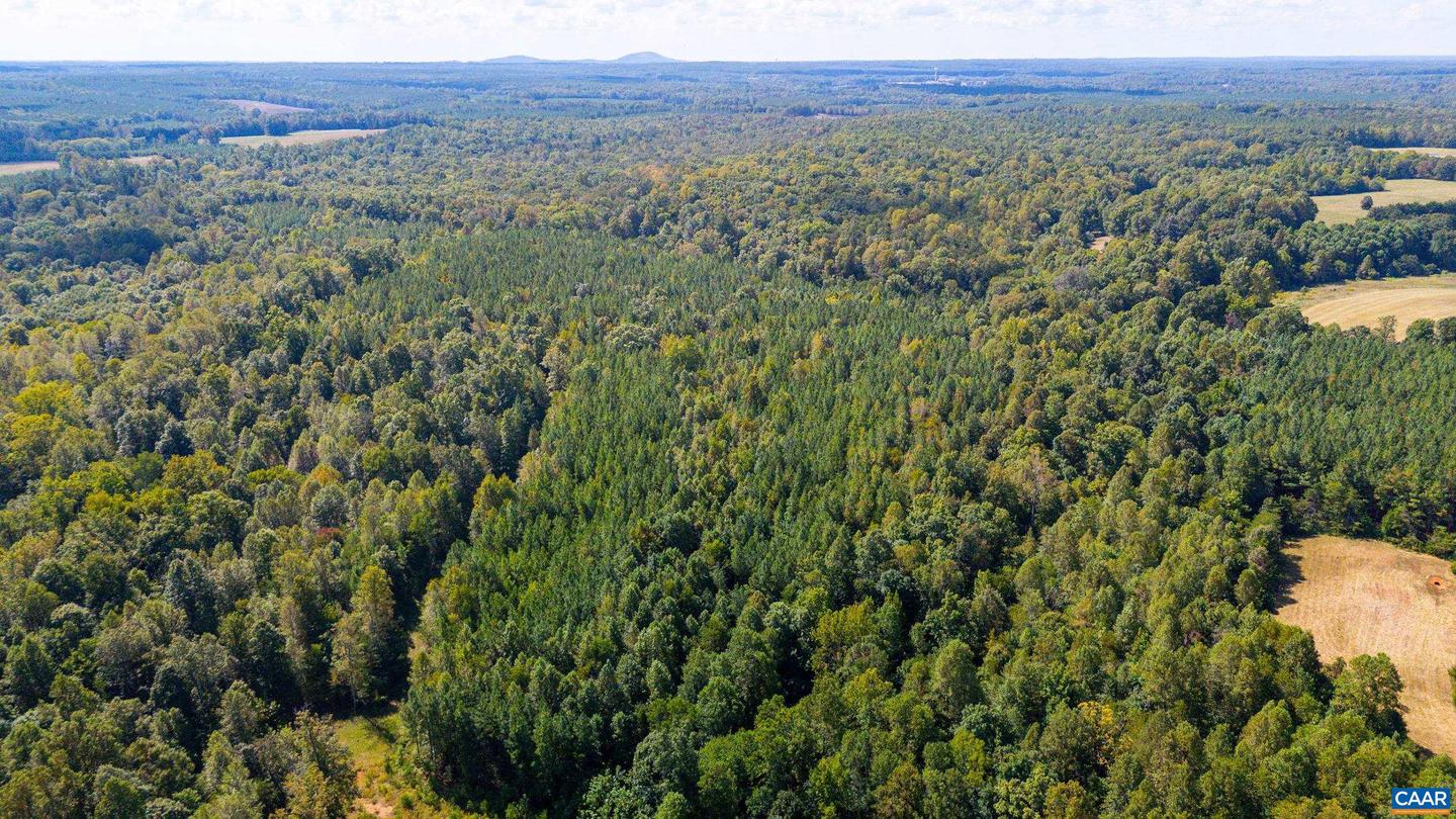 00 COPPER MINE RD, DILLWYN, Virginia 23936, ,Farm,For Sale,00 COPPER MINE RD,669175 MLS # 669175 00 COPPER MINE RD, DILLWYN, Virginia 23936, ,Farm,For Sale,00 COPPER MINE RD,669175 MLS # 669175