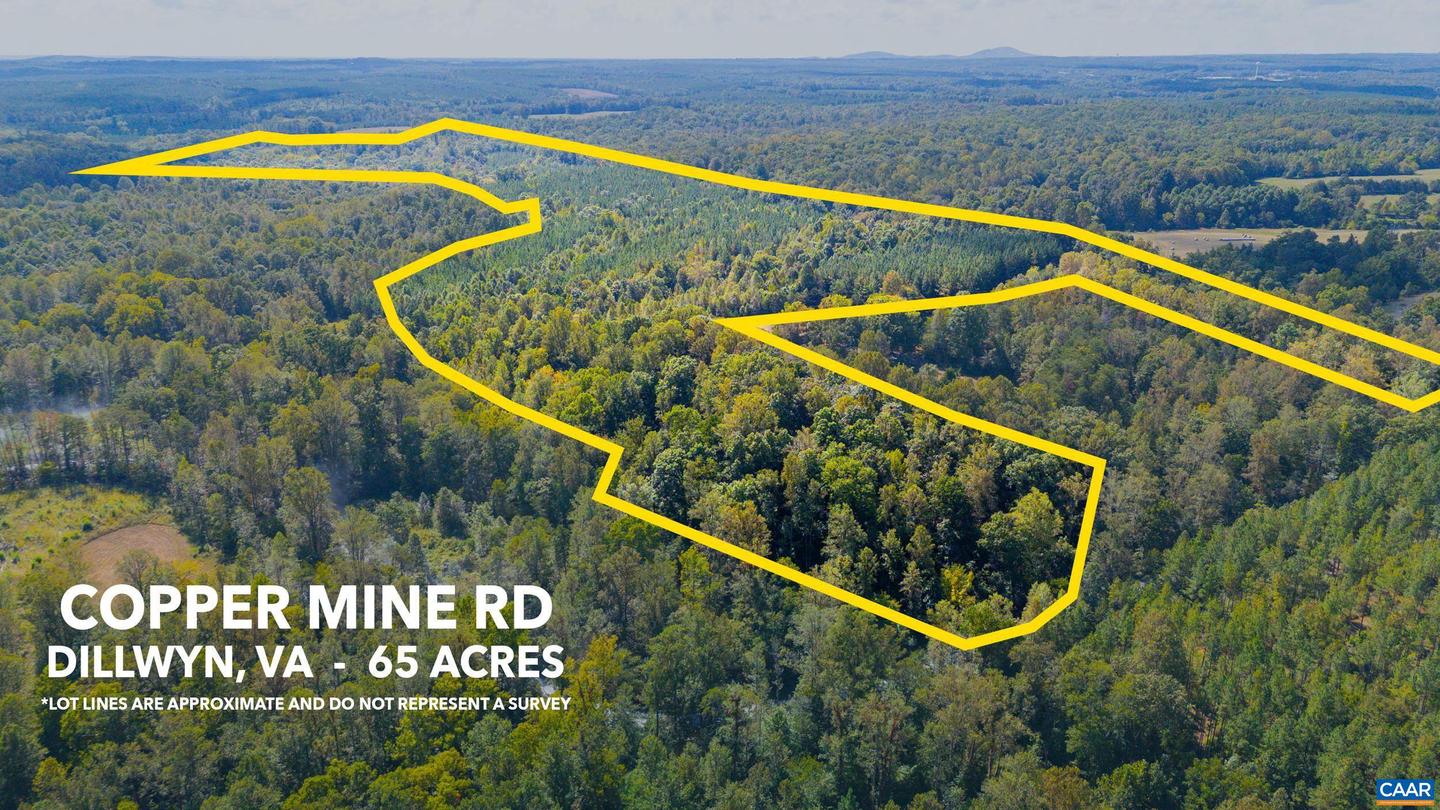 00 COPPER MINE RD, DILLWYN, Virginia 23936, ,Farm,For Sale,00 COPPER MINE RD,669175 MLS # 669175 00 COPPER MINE RD, DILLWYN, Virginia 23936, ,Farm,For Sale,00 COPPER MINE RD,669175 MLS # 669175