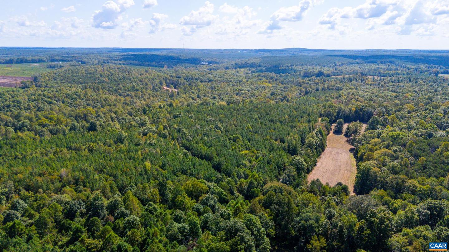 00 COPPER MINE RD, DILLWYN, Virginia 23936, ,Farm,For Sale,00 COPPER MINE RD,669175 MLS # 669175 00 COPPER MINE RD, DILLWYN, Virginia 23936, ,Farm,For Sale,00 COPPER MINE RD,669175 MLS # 669175