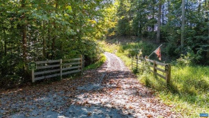 00 COPPER MINE RD, DILLWYN, Virginia 23936, ,Farm,For Sale,00 COPPER MINE RD,669175 MLS # 669175