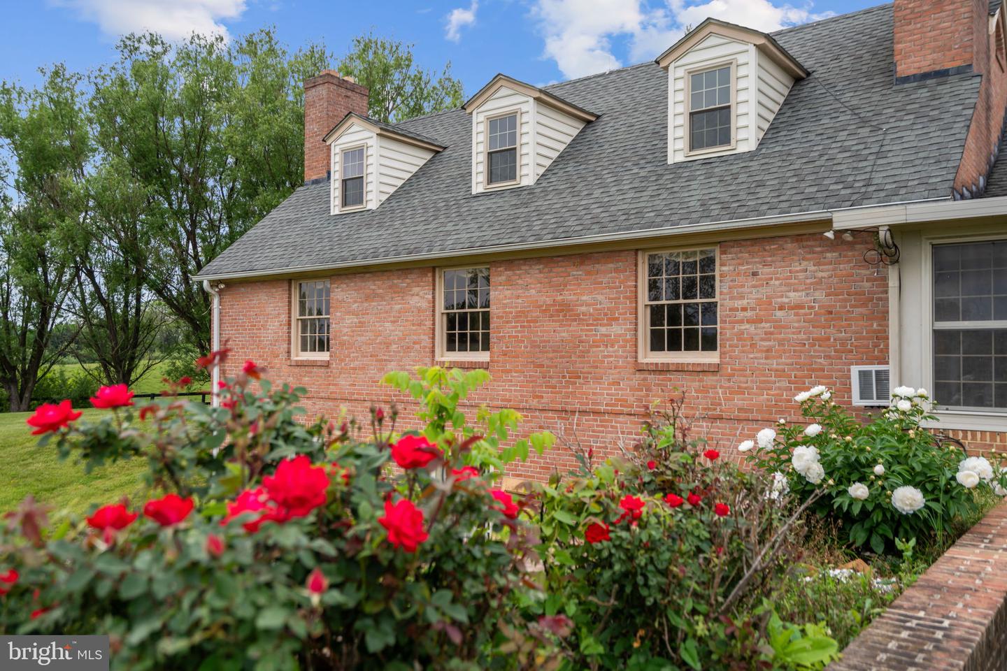 1600 BRIGGS RD, BERRYVILLE, Virginia 22611, 5 Bedrooms Bedrooms, 13 Rooms Rooms,3 BathroomsBathrooms,Residential,For Sale,1600 BRIGGS RD,VACL2003496 MLS # VACL2003496 1600 BRIGGS RD, BERRYVILLE, Virginia 22611, 5 Bedrooms Bedrooms, 13 Rooms Rooms,3 BathroomsBathrooms,Residential,For Sale,1600 BRIGGS RD,VACL2003496 MLS # VACL2003496