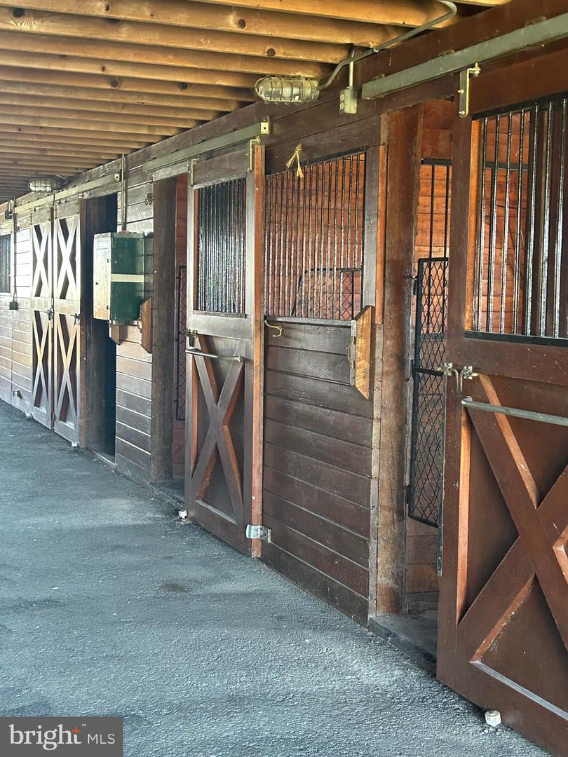 1600 BRIGGS RD, BERRYVILLE, Virginia 22611, 5 Bedrooms Bedrooms, 13 Rooms Rooms,3 BathroomsBathrooms,Residential,For Sale,1600 BRIGGS RD,VACL2003496 MLS # VACL2003496 1600 BRIGGS RD, BERRYVILLE, Virginia 22611, 5 Bedrooms Bedrooms, 13 Rooms Rooms,3 BathroomsBathrooms,Residential,For Sale,1600 BRIGGS RD,VACL2003496 MLS # VACL2003496