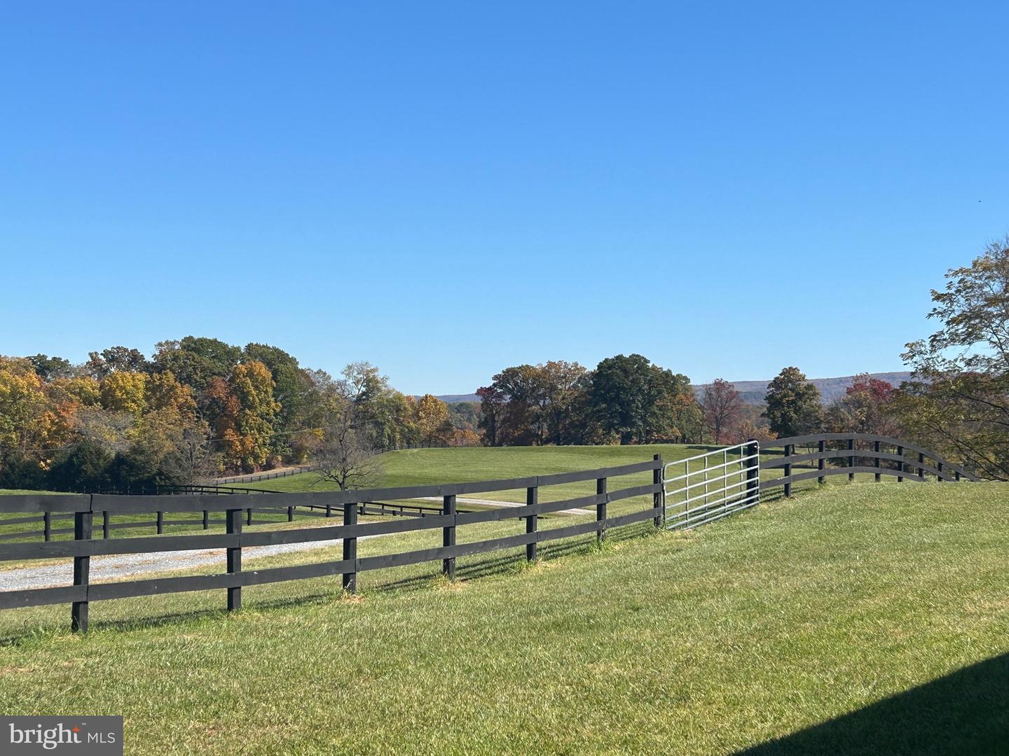 1600 BRIGGS RD, BERRYVILLE, Virginia 22611, 5 Bedrooms Bedrooms, 13 Rooms Rooms,3 BathroomsBathrooms,Residential,For Sale,1600 BRIGGS RD,VACL2003496 MLS # VACL2003496 1600 BRIGGS RD, BERRYVILLE, Virginia 22611, 5 Bedrooms Bedrooms, 13 Rooms Rooms,3 BathroomsBathrooms,Residential,For Sale,1600 BRIGGS RD,VACL2003496 MLS # VACL2003496